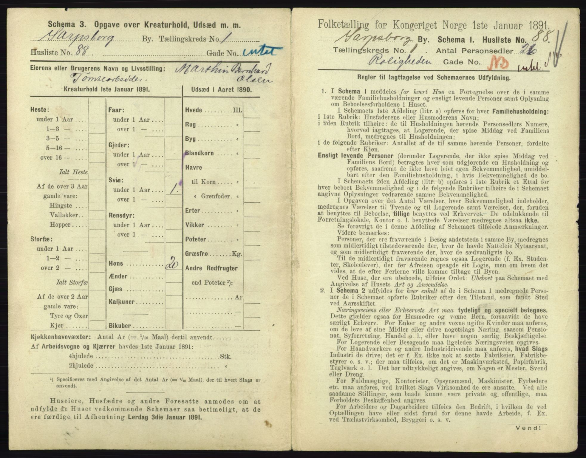 RA, 1891 census for 0102 Sarpsborg, 1891, p. 199