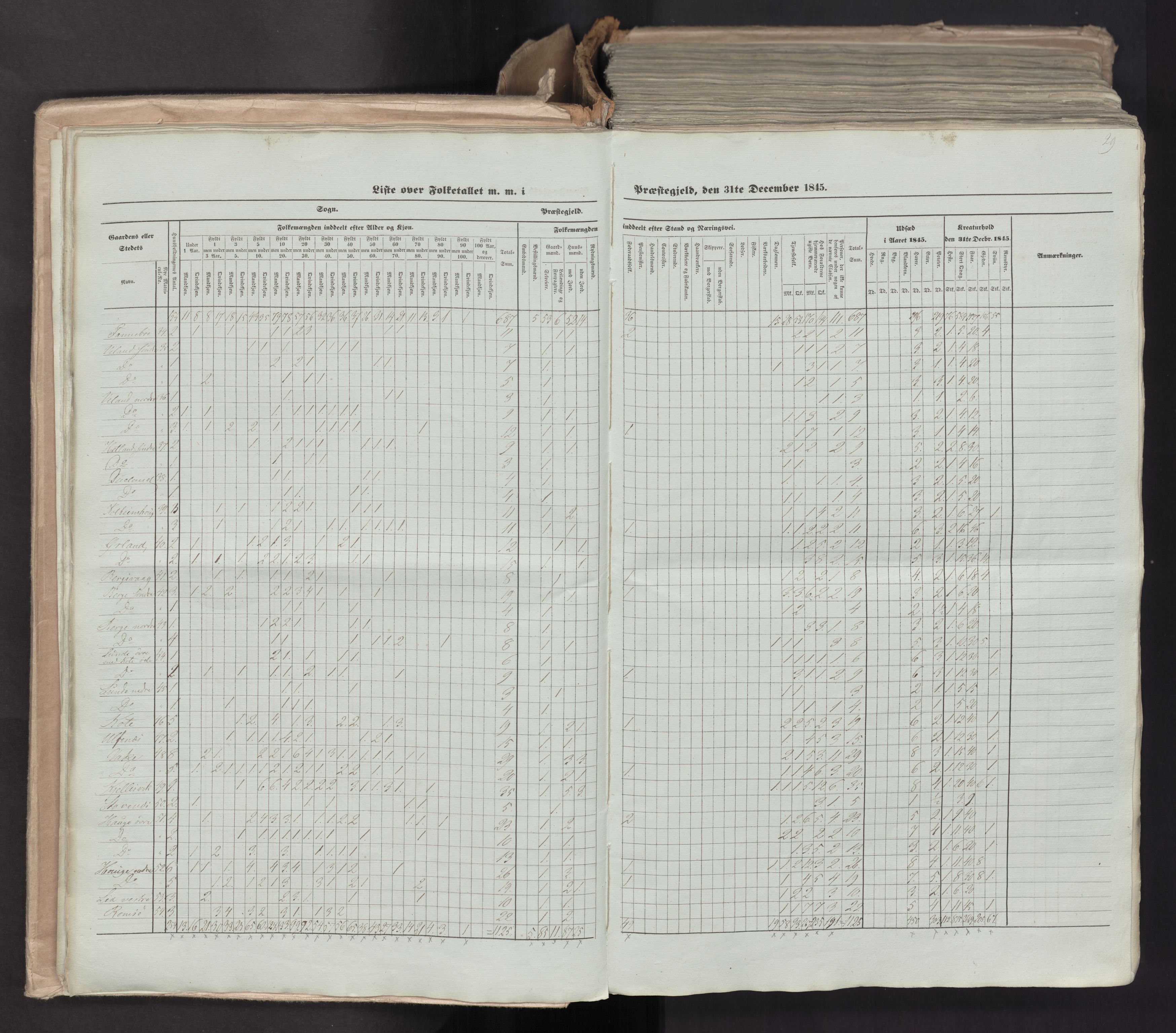 RA, Census 1845, vol. 7: Søndre Bergenhus amt og Nordre Bergenhus amt, 1845, p. 29