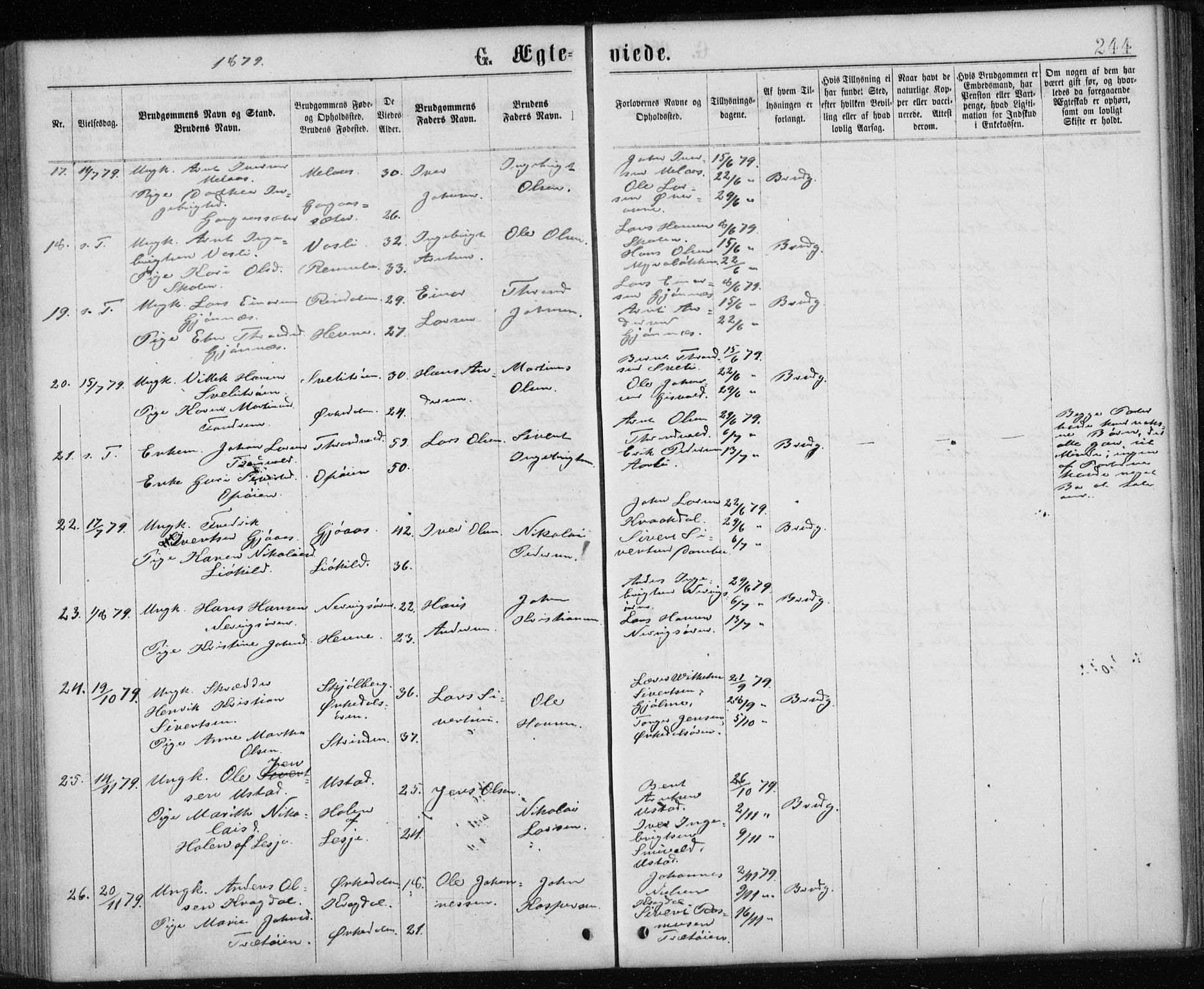 Ministerialprotokoller, klokkerbøker og fødselsregistre - Sør-Trøndelag, SAT/A-1456/668/L0817: Parish register (copy) no. 668C06, 1873-1884, p. 244