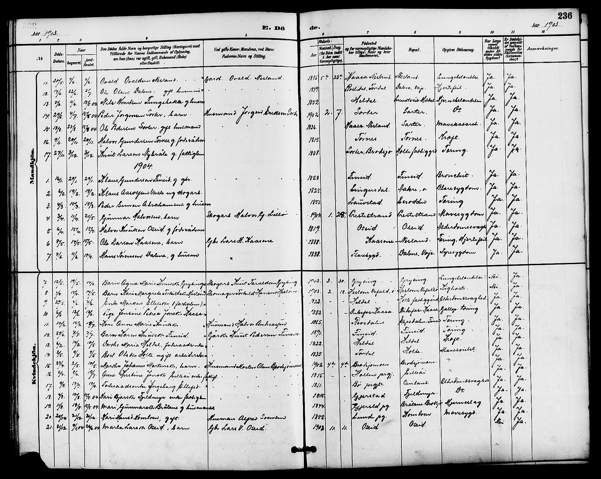 Drangedal kirkebøker, SAKO/A-258/G/Ga/L0003: Parish register (copy) no. I 3, 1887-1906, p. 236
