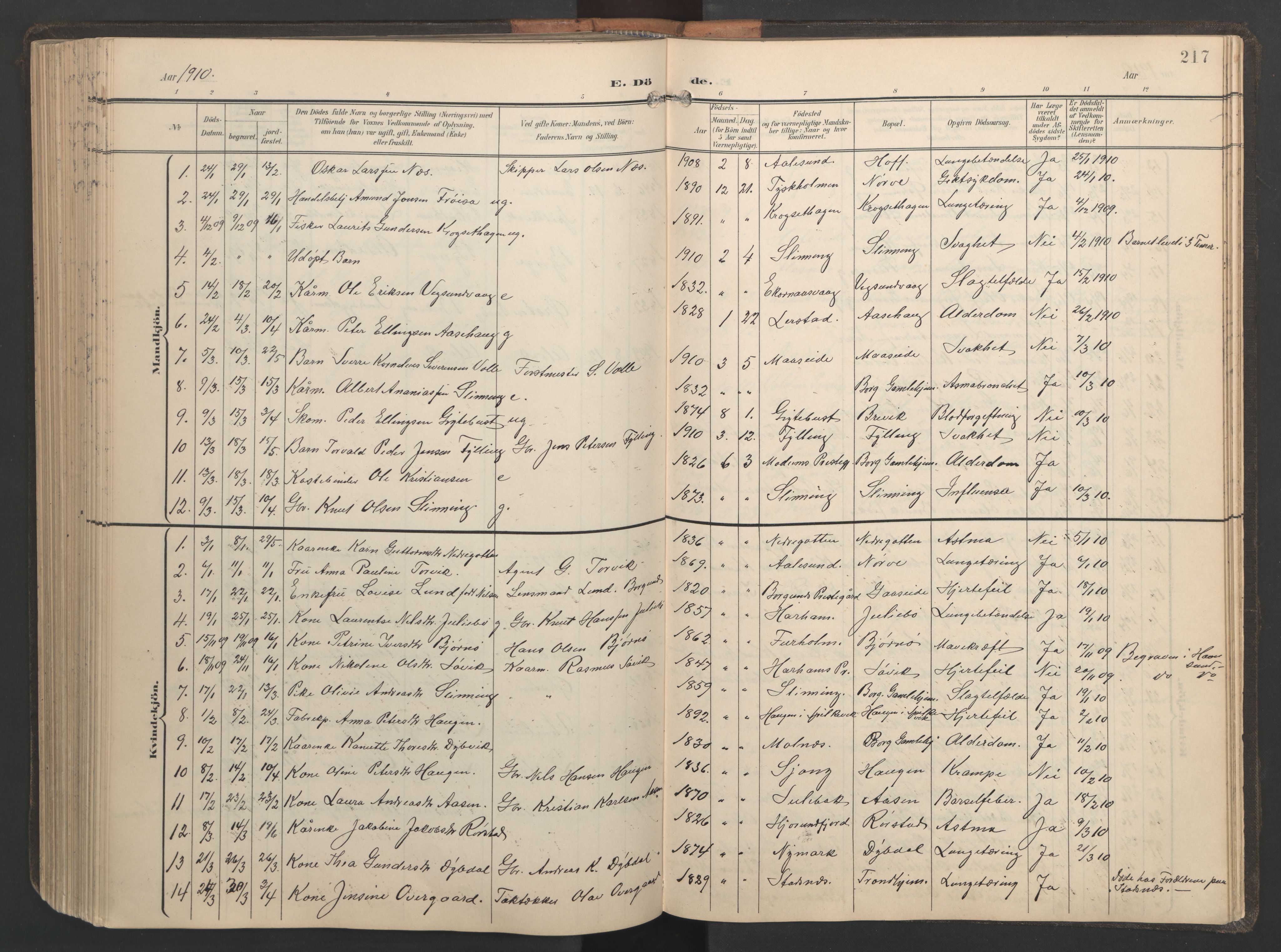 Ministerialprotokoller, klokkerbøker og fødselsregistre - Møre og Romsdal, SAT/A-1454/528/L0433: Parish register (copy) no. 528C14, 1899-1922, p. 217