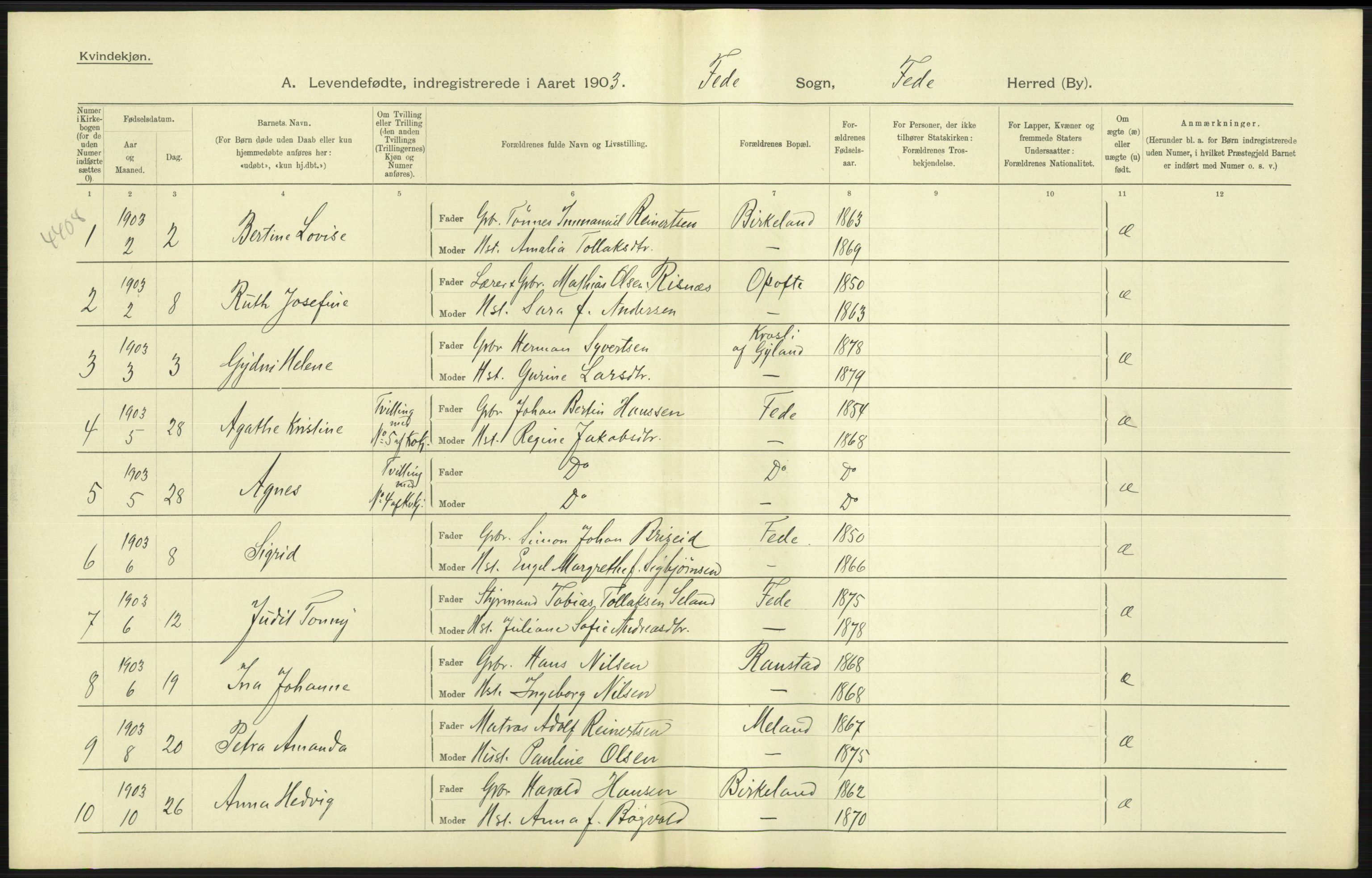 Statistisk sentralbyrå, Sosiodemografiske emner, Befolkning, AV/RA-S-2228/D/Df/Dfa/Dfaa/L0011: Lister og Mandal amt: Fødte, gifte, døde, 1903, p. 35