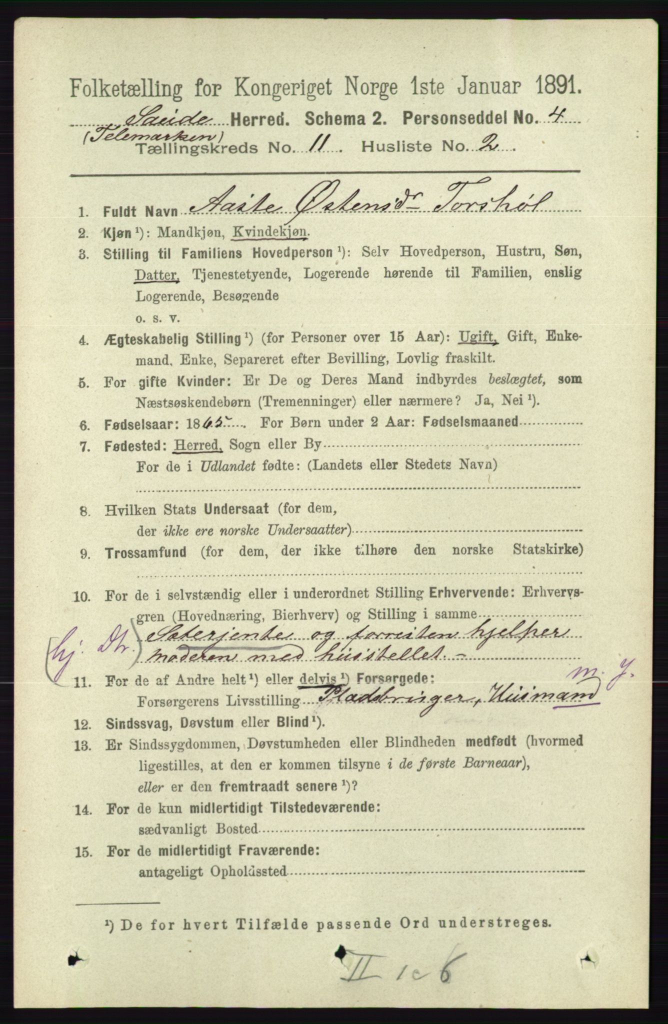 RA, 1891 census for 0822 Sauherad, 1891, p. 3385