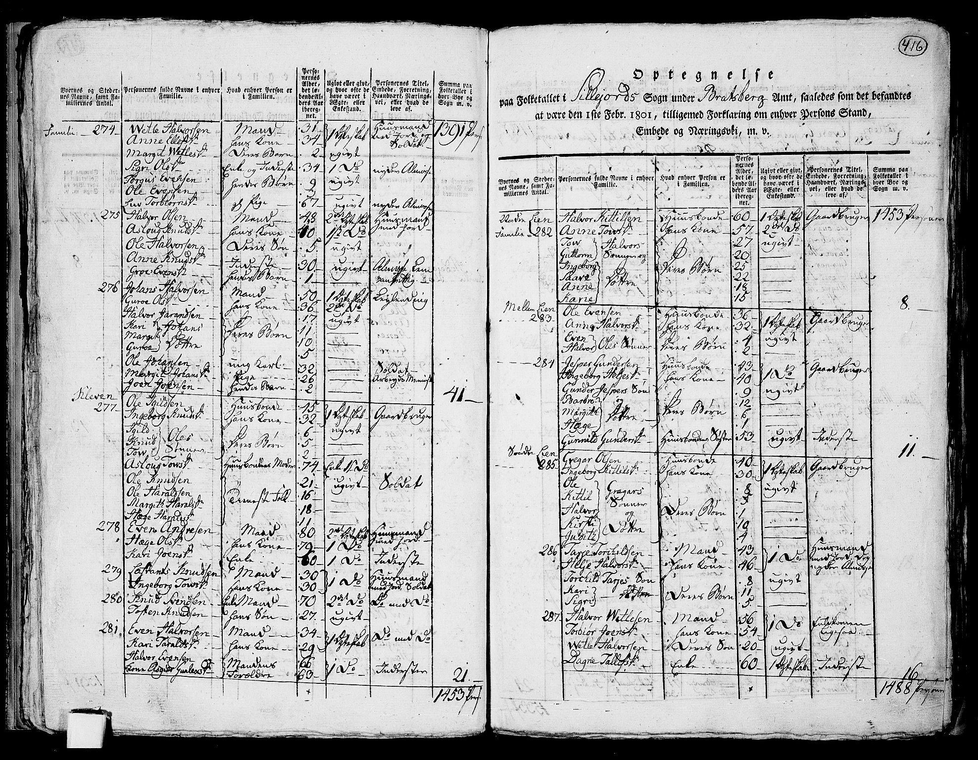 RA, 1801 census for 0828P Seljord, 1801, p. 415b-416a