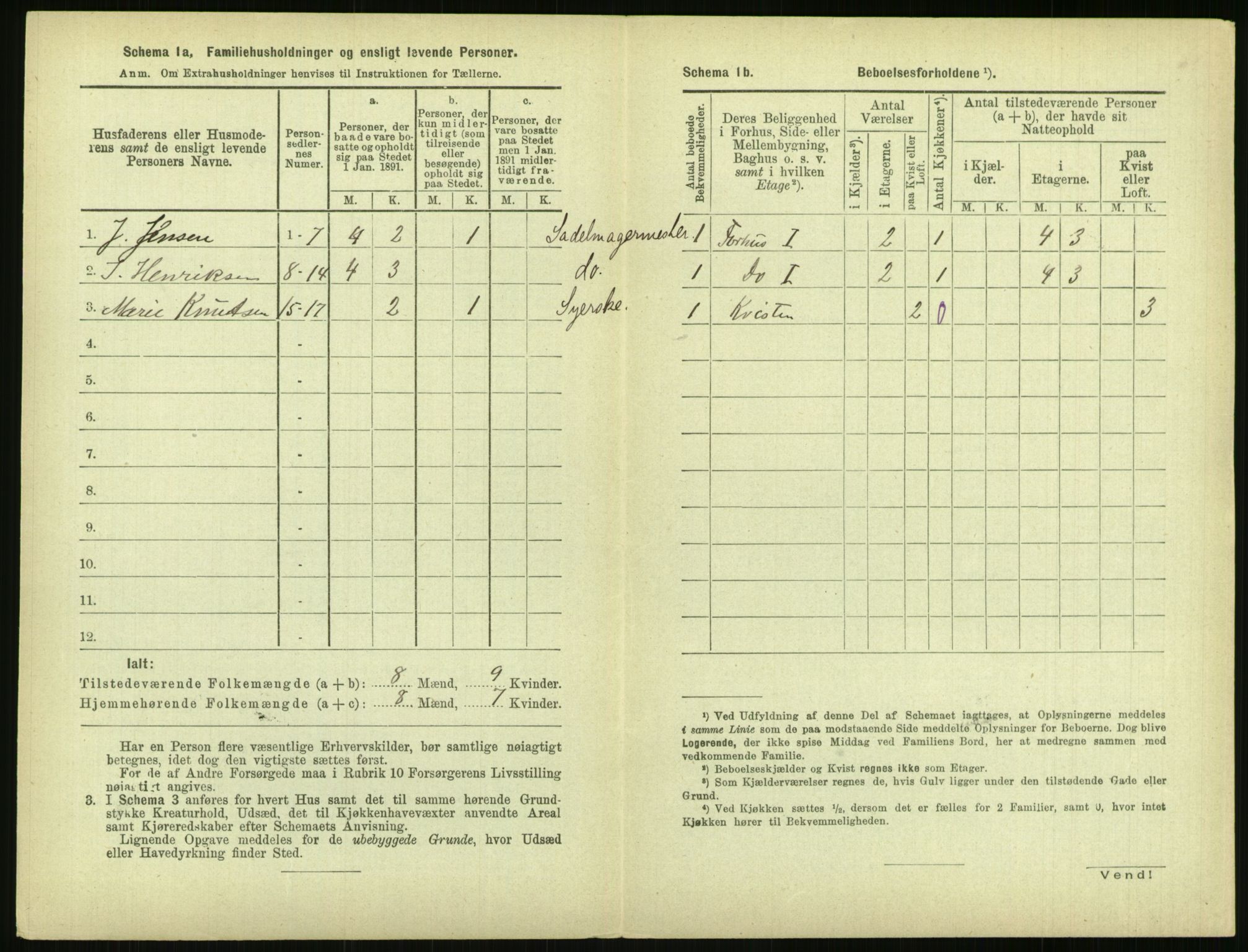 RA, 1891 census for 0806 Skien, 1891, p. 221