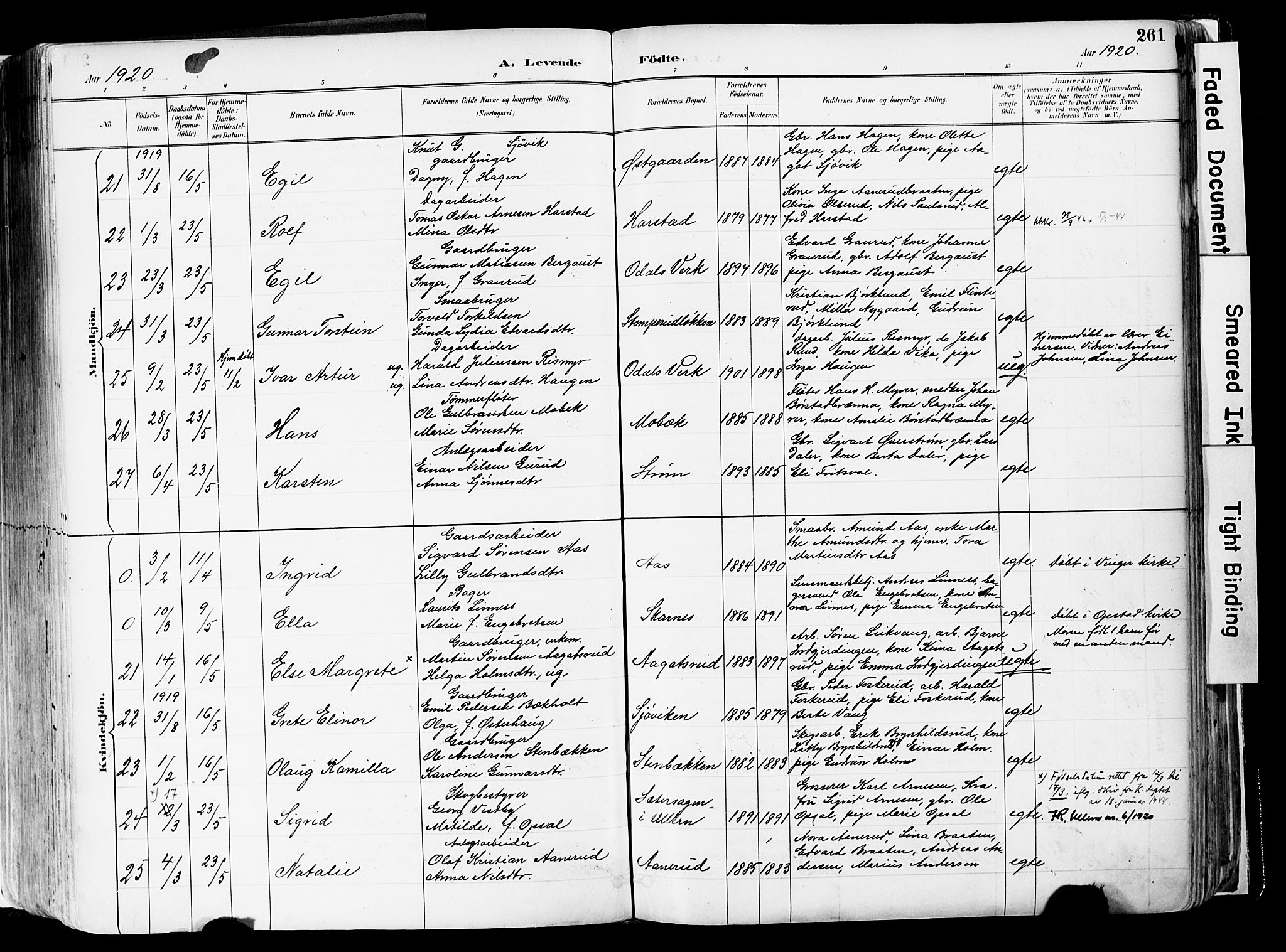 Sør-Odal prestekontor, SAH/PREST-030/H/Ha/Haa/L0006: Parish register (official) no. 6, 1886-1931, p. 261