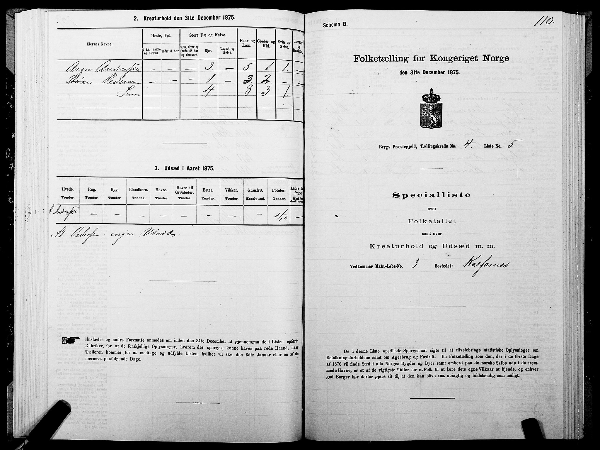 SATØ, 1875 census for 1929P Berg, 1875, p. 2110