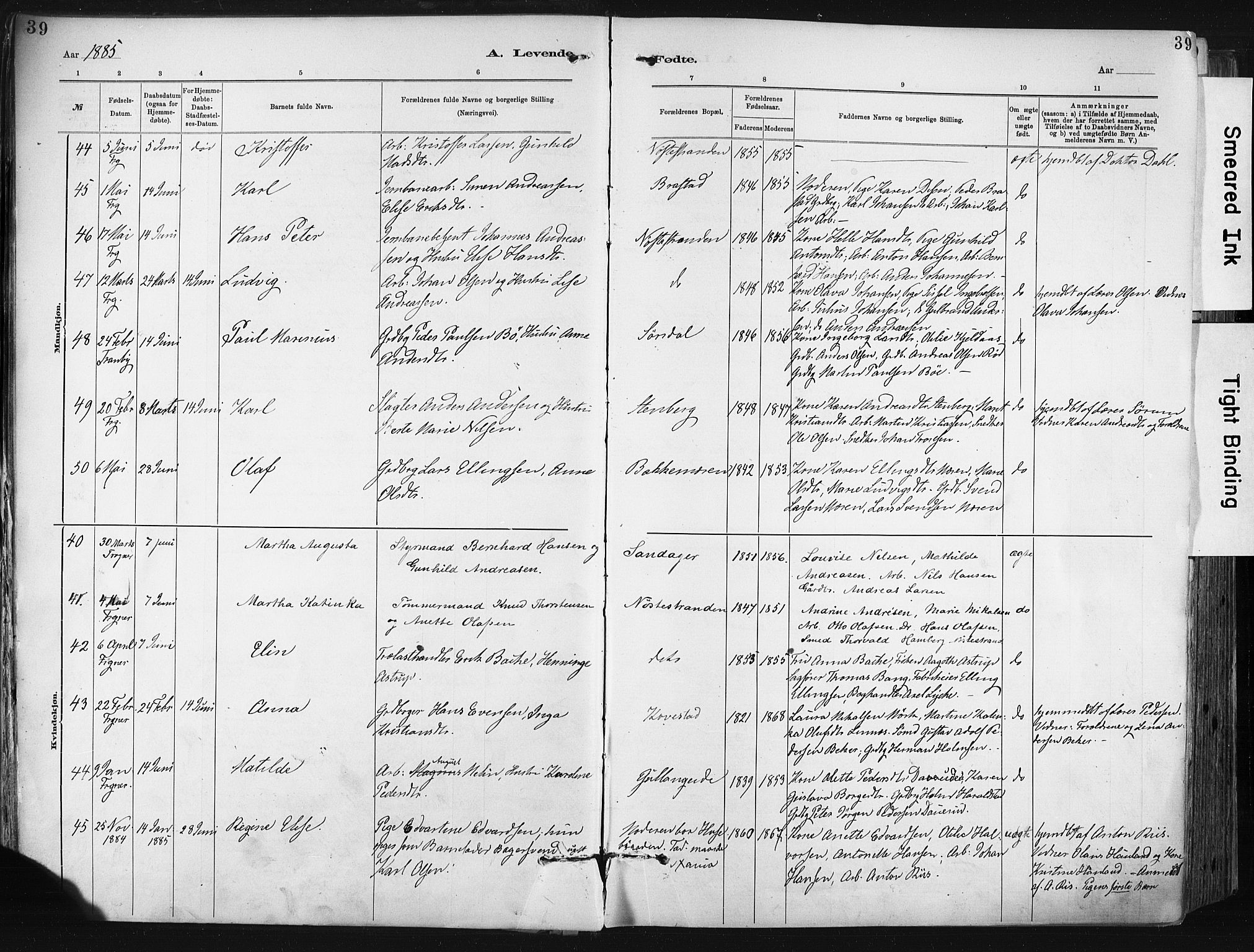 Lier kirkebøker, AV/SAKO-A-230/F/Fa/L0015: Parish register (official) no. I 15, 1883-1894, p. 39