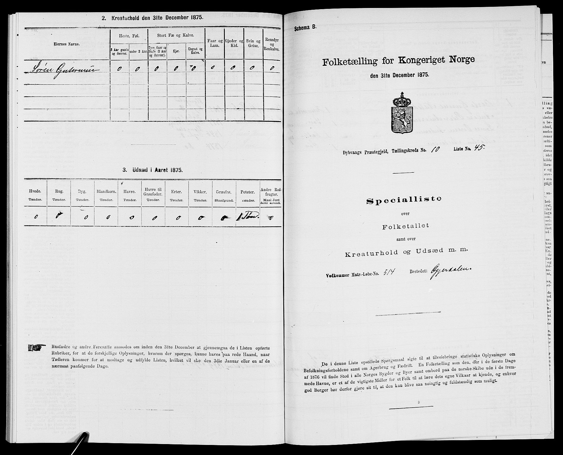 SAK, 1875 census for 0915P Dypvåg, 1875, p. 1397