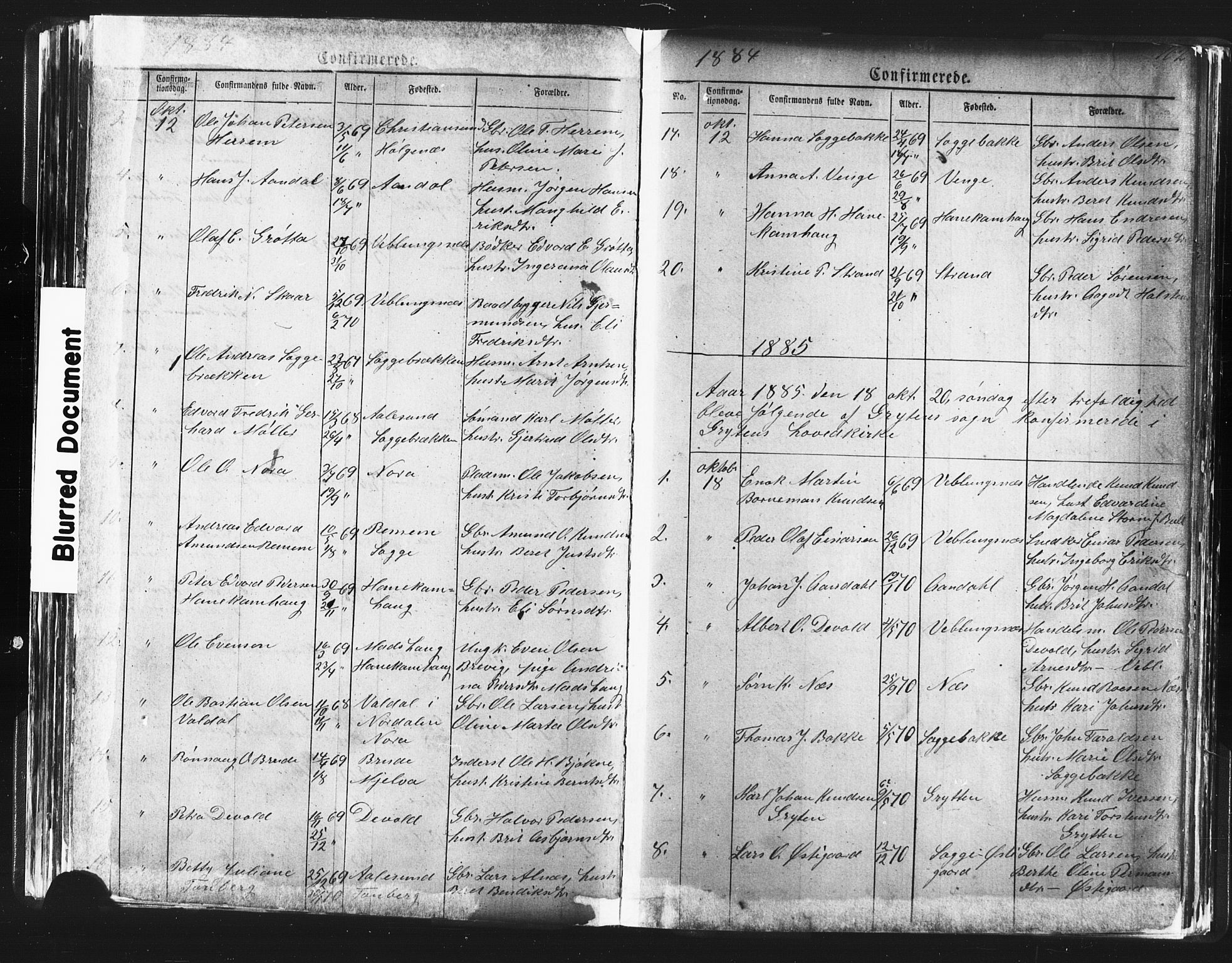 Ministerialprotokoller, klokkerbøker og fødselsregistre - Møre og Romsdal, AV/SAT-A-1454/544/L0580: Parish register (copy) no. 544C02, 1867-1909, p. 162