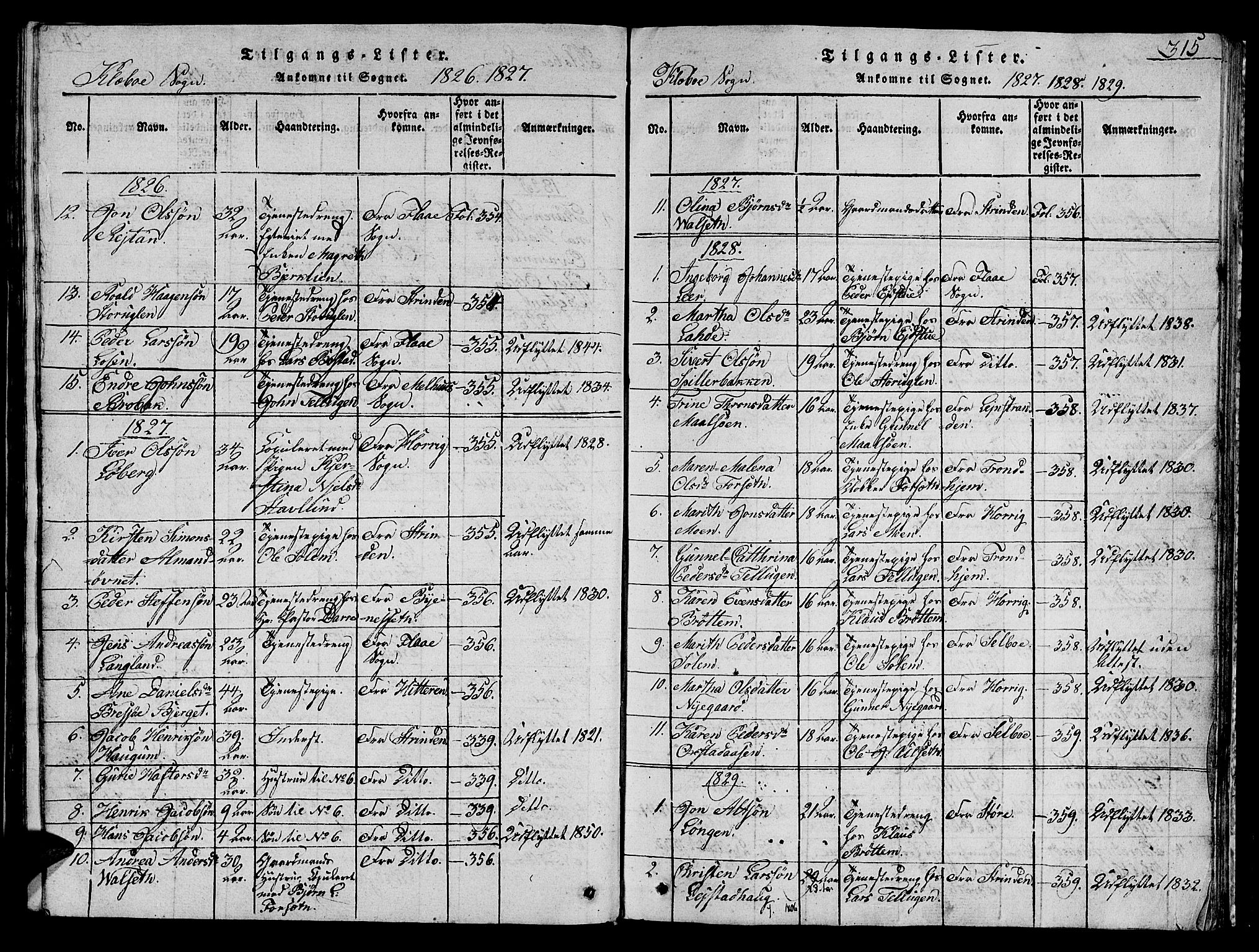 Ministerialprotokoller, klokkerbøker og fødselsregistre - Sør-Trøndelag, AV/SAT-A-1456/618/L0450: Parish register (copy) no. 618C01, 1816-1865, p. 315