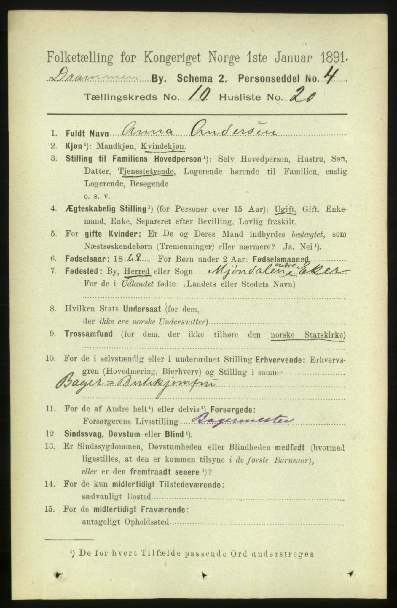 RA, 1891 census for 0602 Drammen, 1891, p. 8195