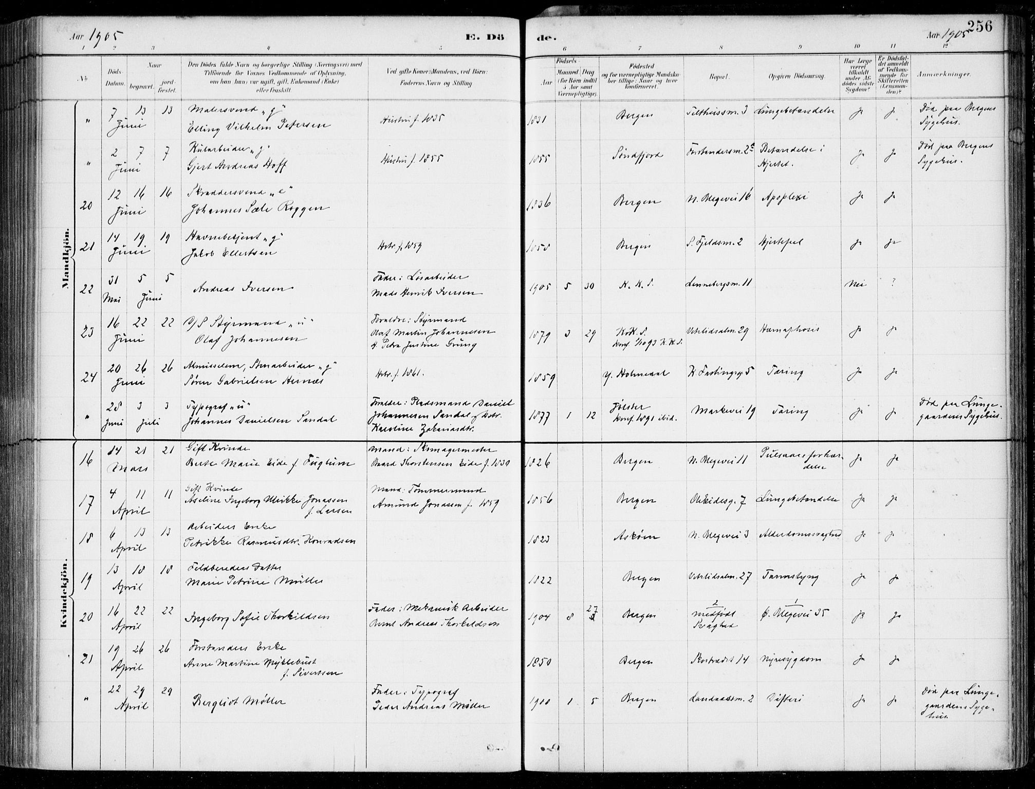 Korskirken sokneprestembete, SAB/A-76101/H/Hab: Parish register (copy) no. E 4, 1884-1910, p. 256