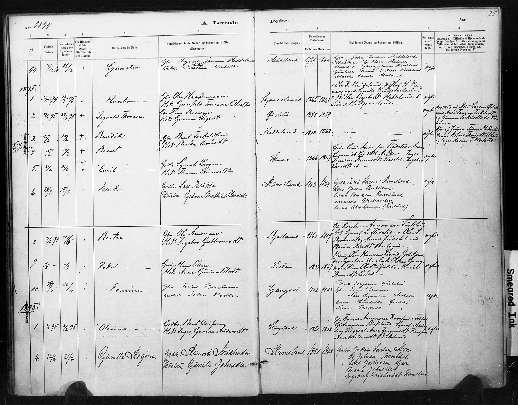 Holum sokneprestkontor, AV/SAK-1111-0022/F/Fa/Fac/L0004: Parish register (official) no. A 4, 1884-1907, p. 25