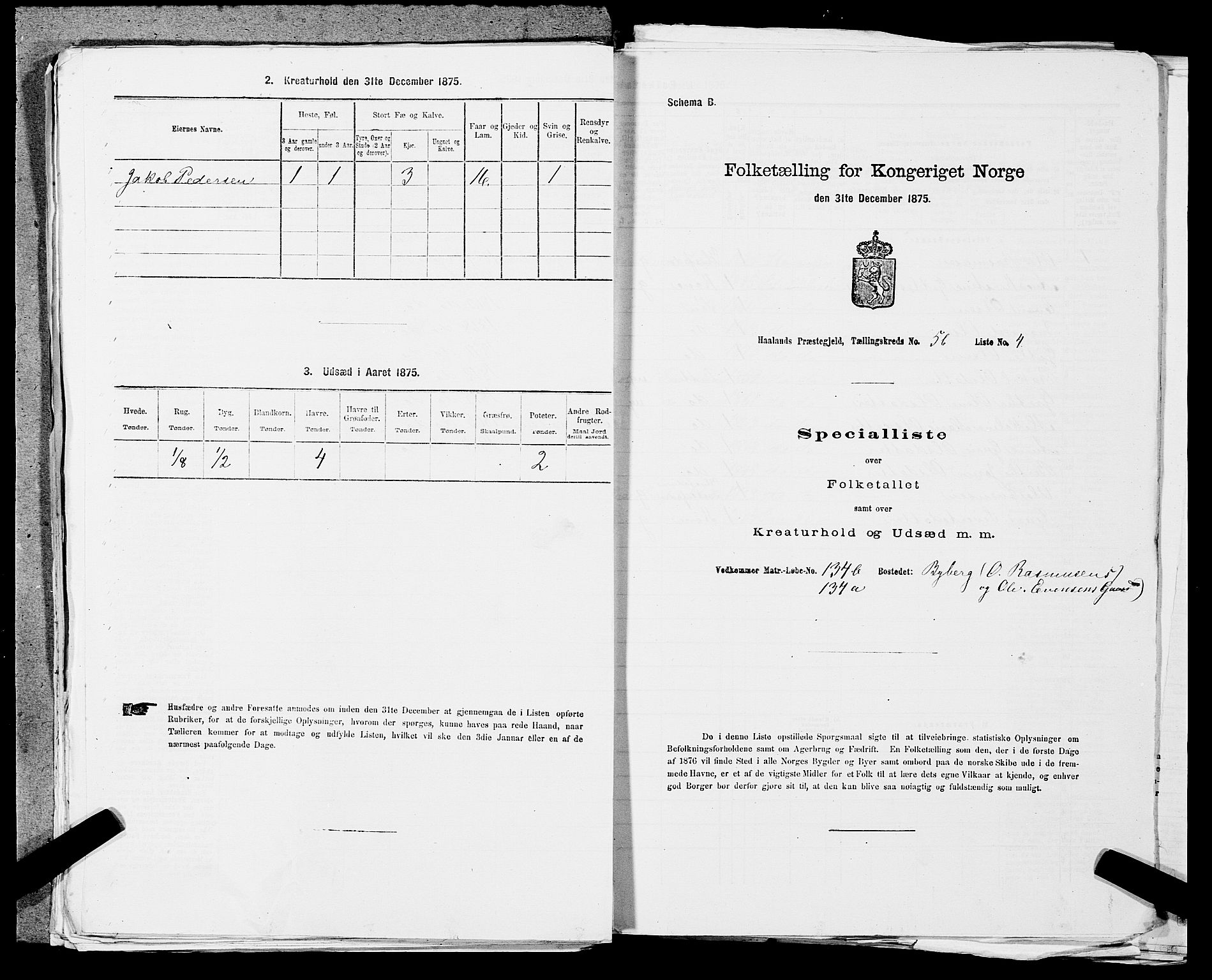 SAST, 1875 census for 1124P Håland, 1875, p. 860