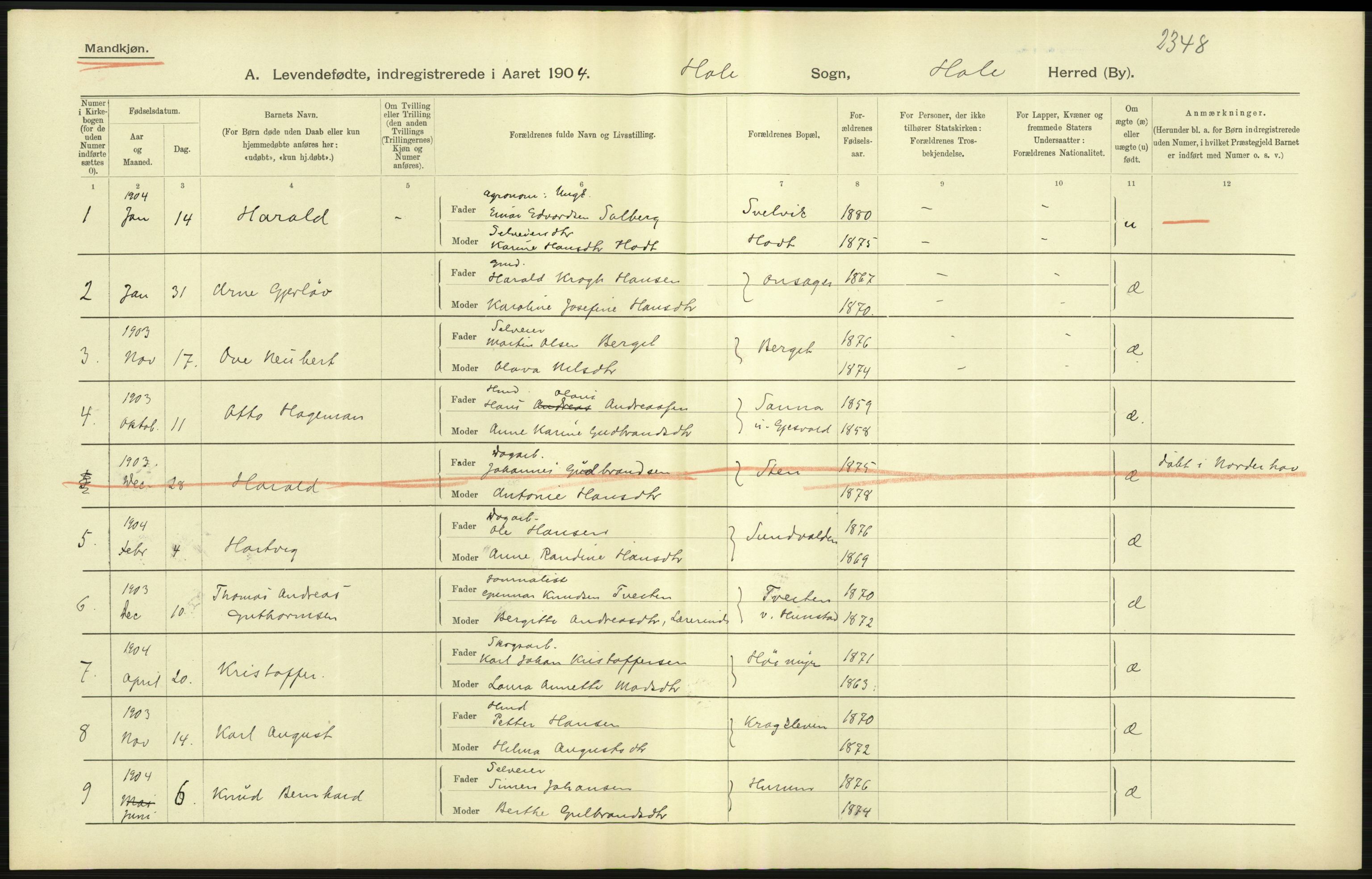 Statistisk sentralbyrå, Sosiodemografiske emner, Befolkning, AV/RA-S-2228/D/Df/Dfa/Dfab/L0007: Buskerud amt: Fødte, gifte, døde, 1904, p. 41