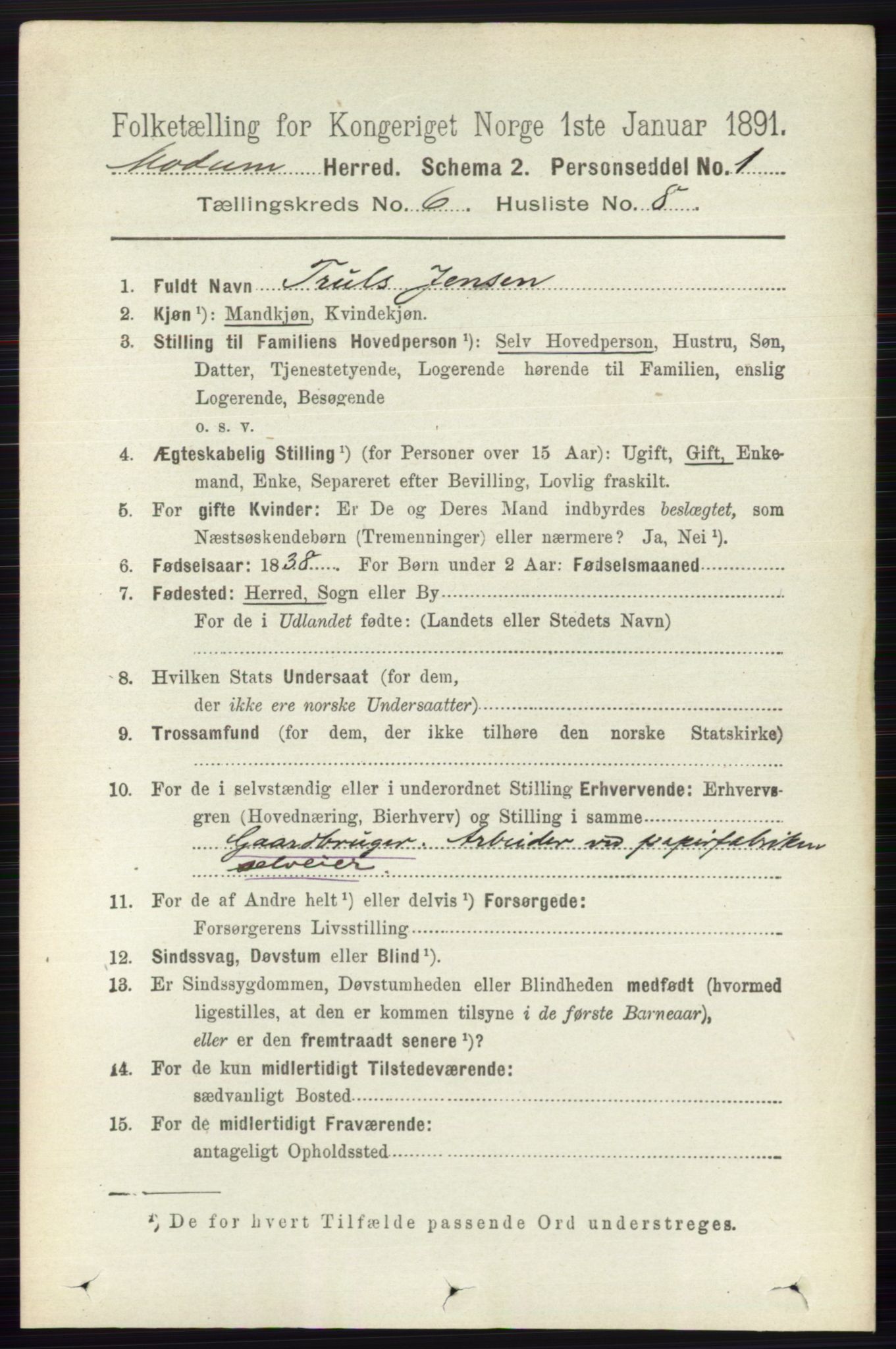 RA, 1891 census for 0623 Modum, 1891, p. 2172