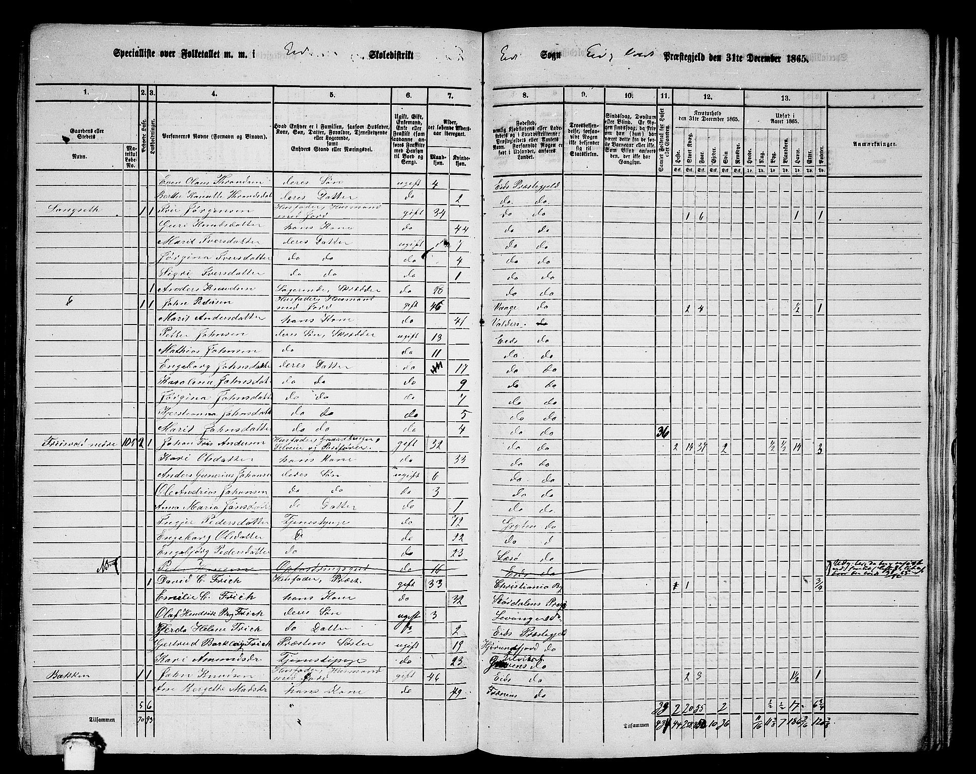 RA, 1865 census for Eid og Vold, 1865, p. 21