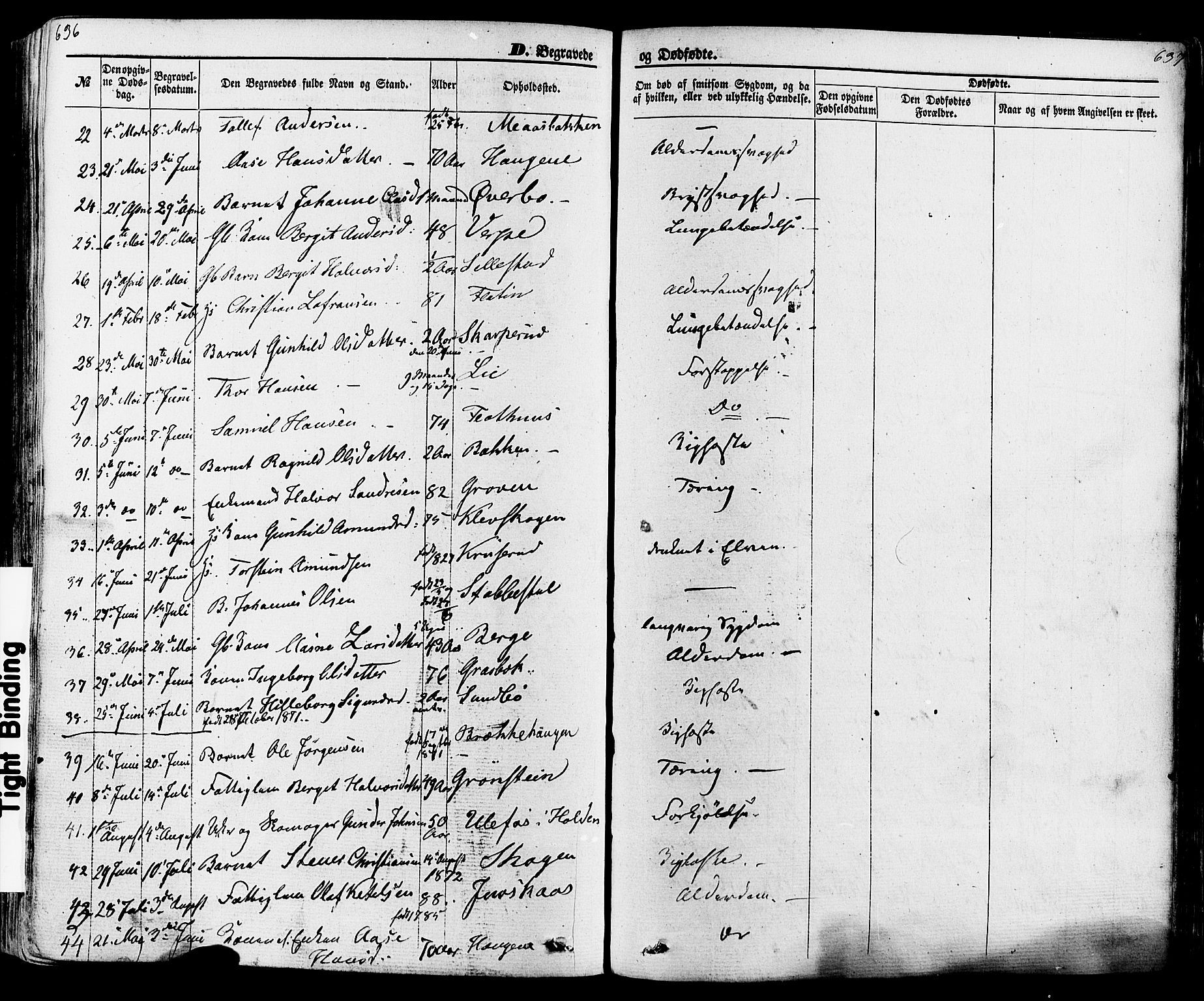 Seljord kirkebøker, AV/SAKO-A-20/F/Fa/L0013: Parish register (official) no. I 13, 1866-1876, p. 636-637