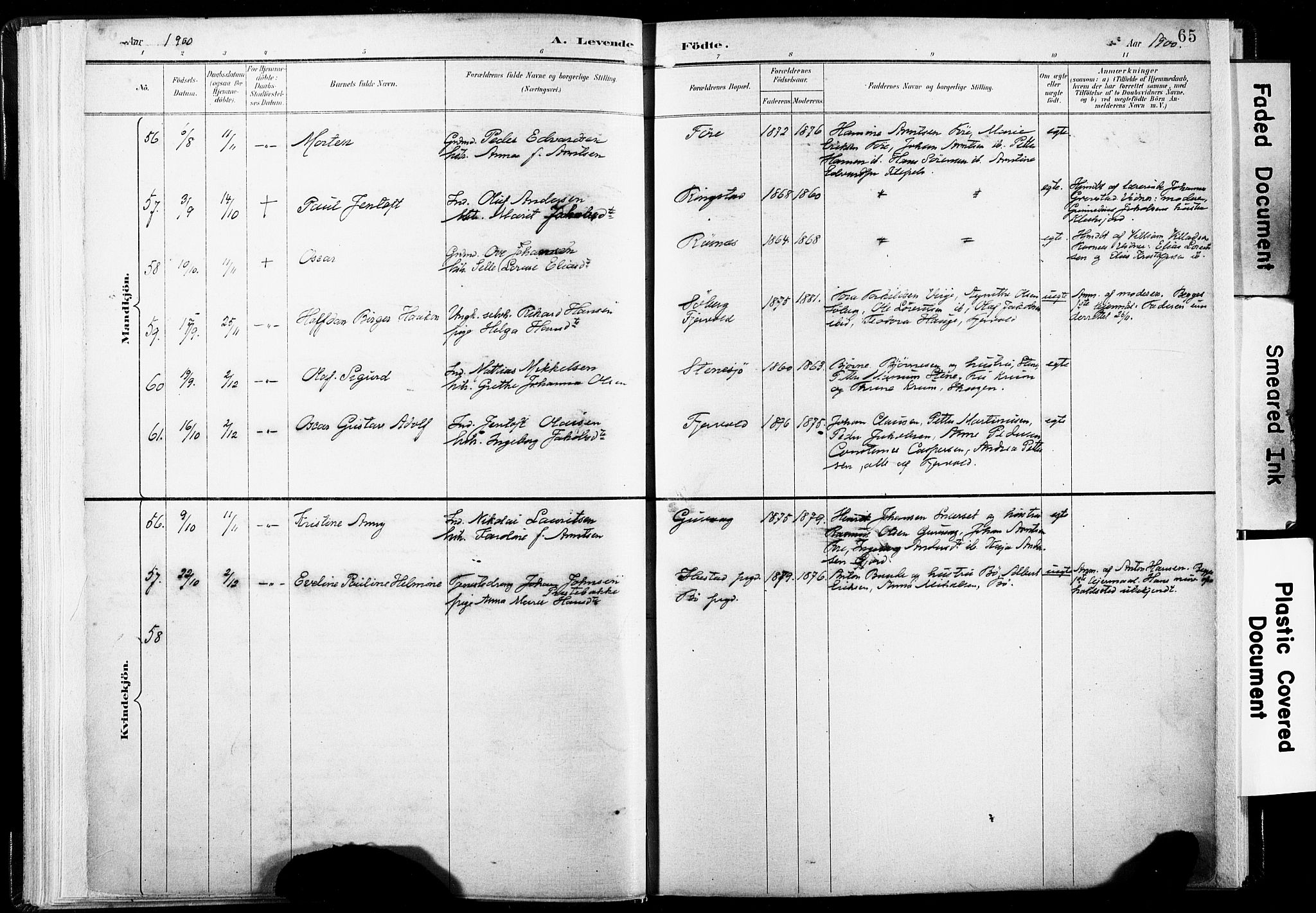 Ministerialprotokoller, klokkerbøker og fødselsregistre - Nordland, AV/SAT-A-1459/891/L1304: Parish register (official) no. 891A09, 1895-1921, p. 65