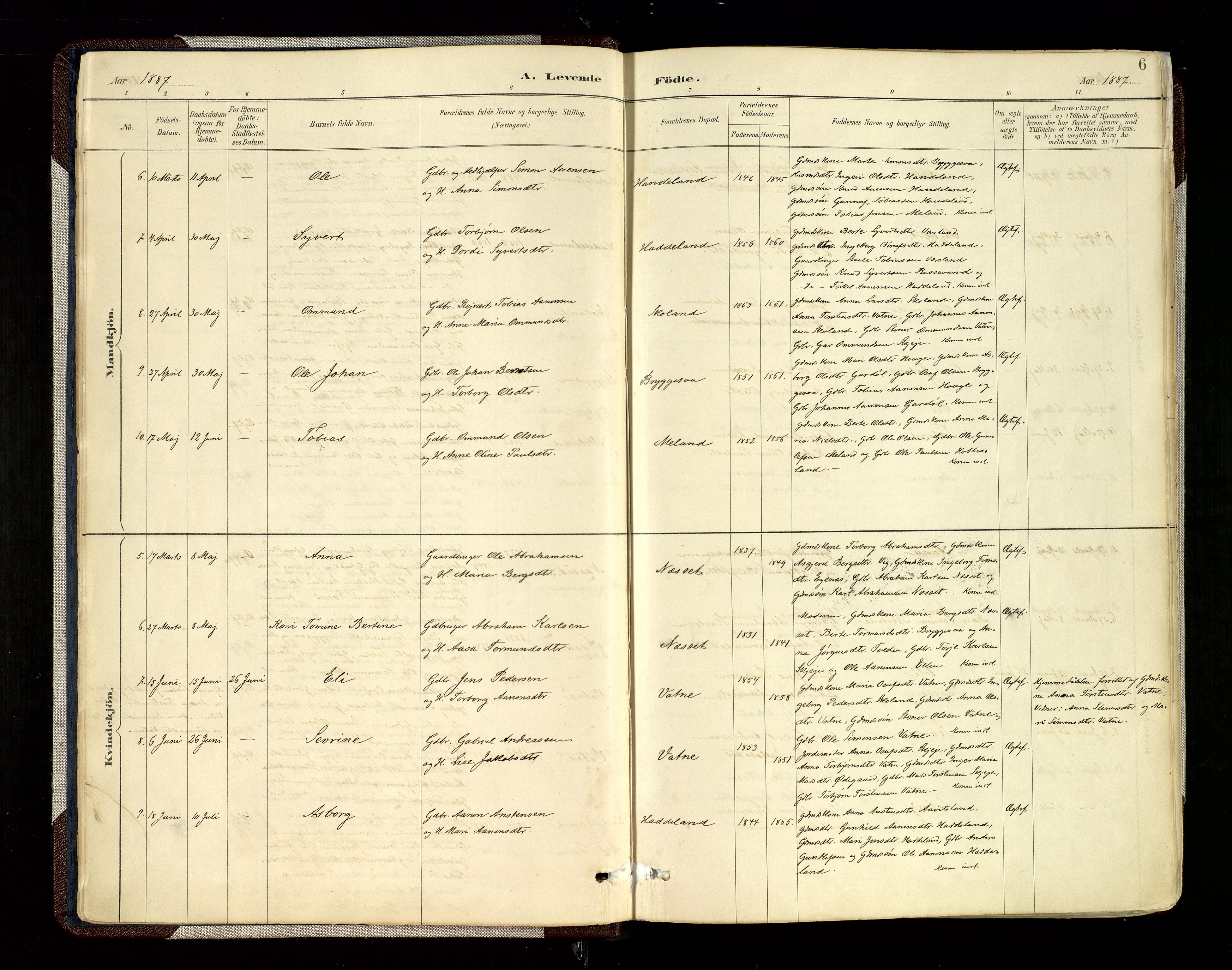 Hægebostad sokneprestkontor, SAK/1111-0024/F/Fa/Fab/L0004: Parish register (official) no. A 4, 1887-1929, p. 6