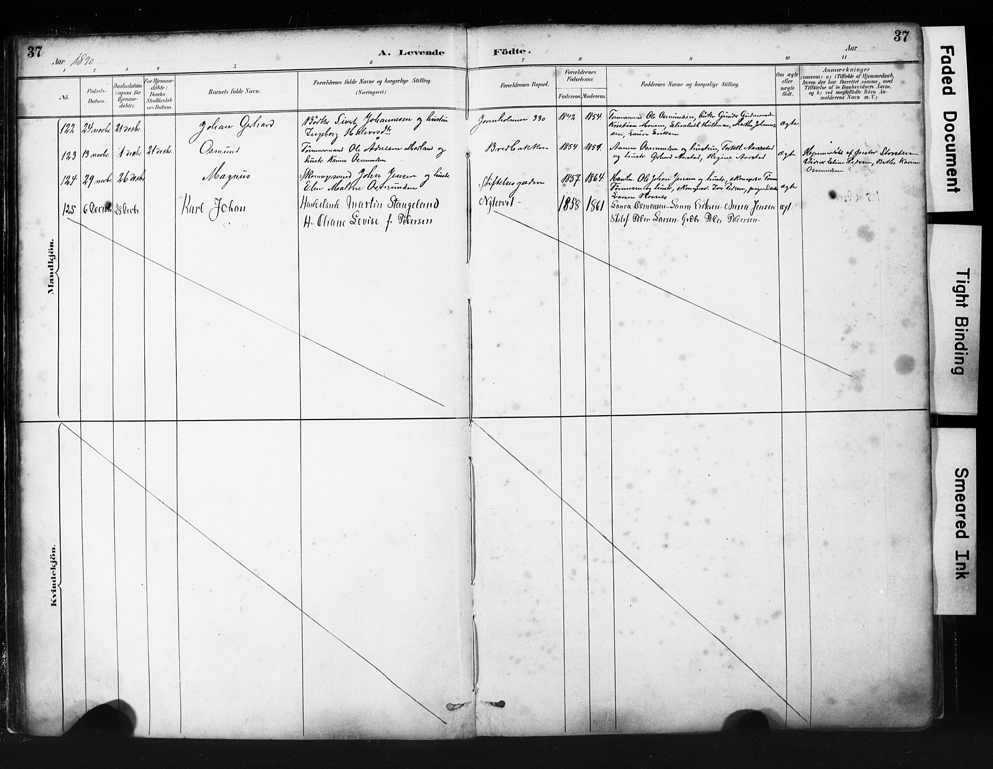 St. Petri sokneprestkontor, AV/SAST-A-101813/001/30/30BA/L0019: Parish register (official) no. A 20, 1888-1901, p. 37