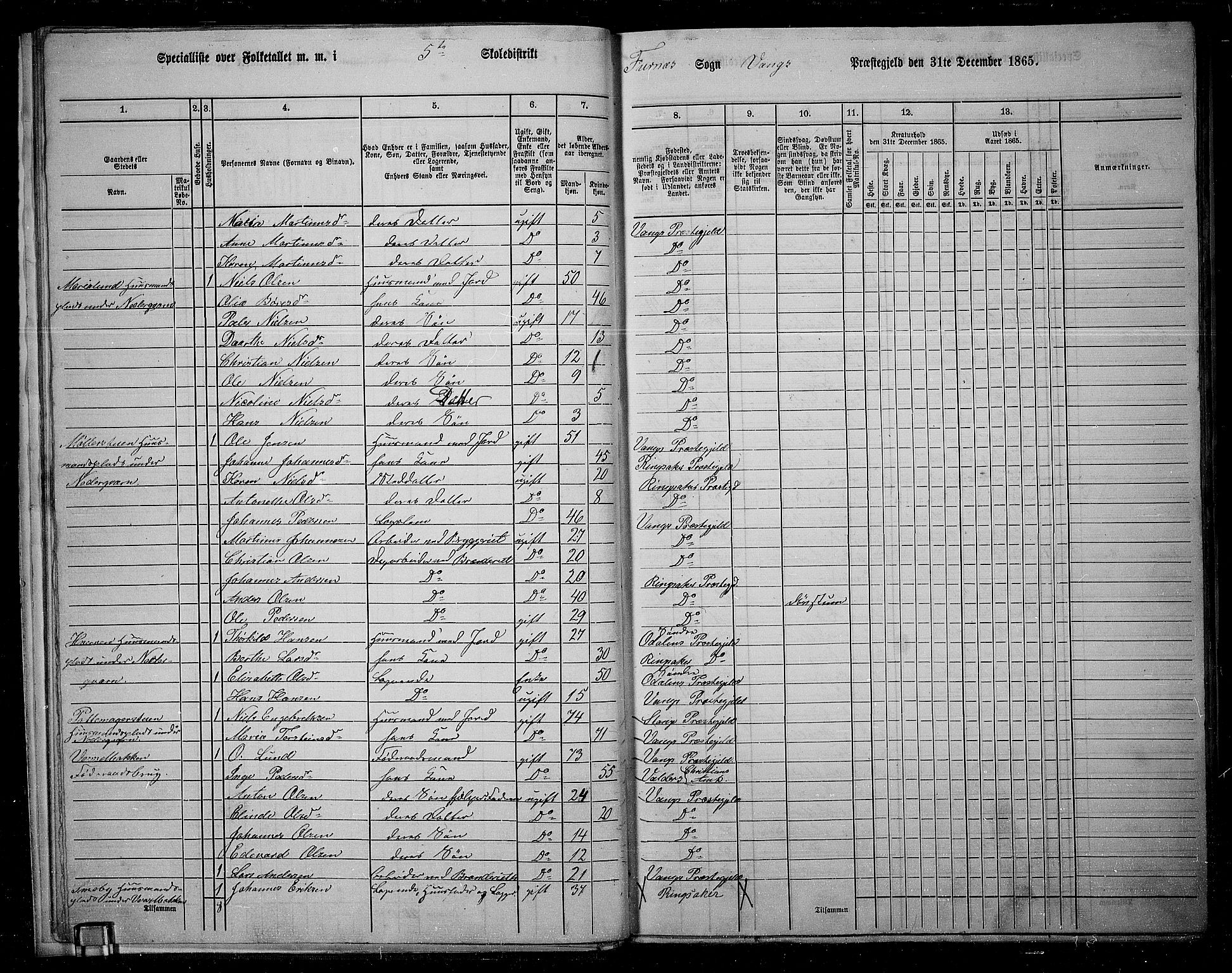 RA, 1865 census for Vang/Vang og Furnes, 1865, p. 17