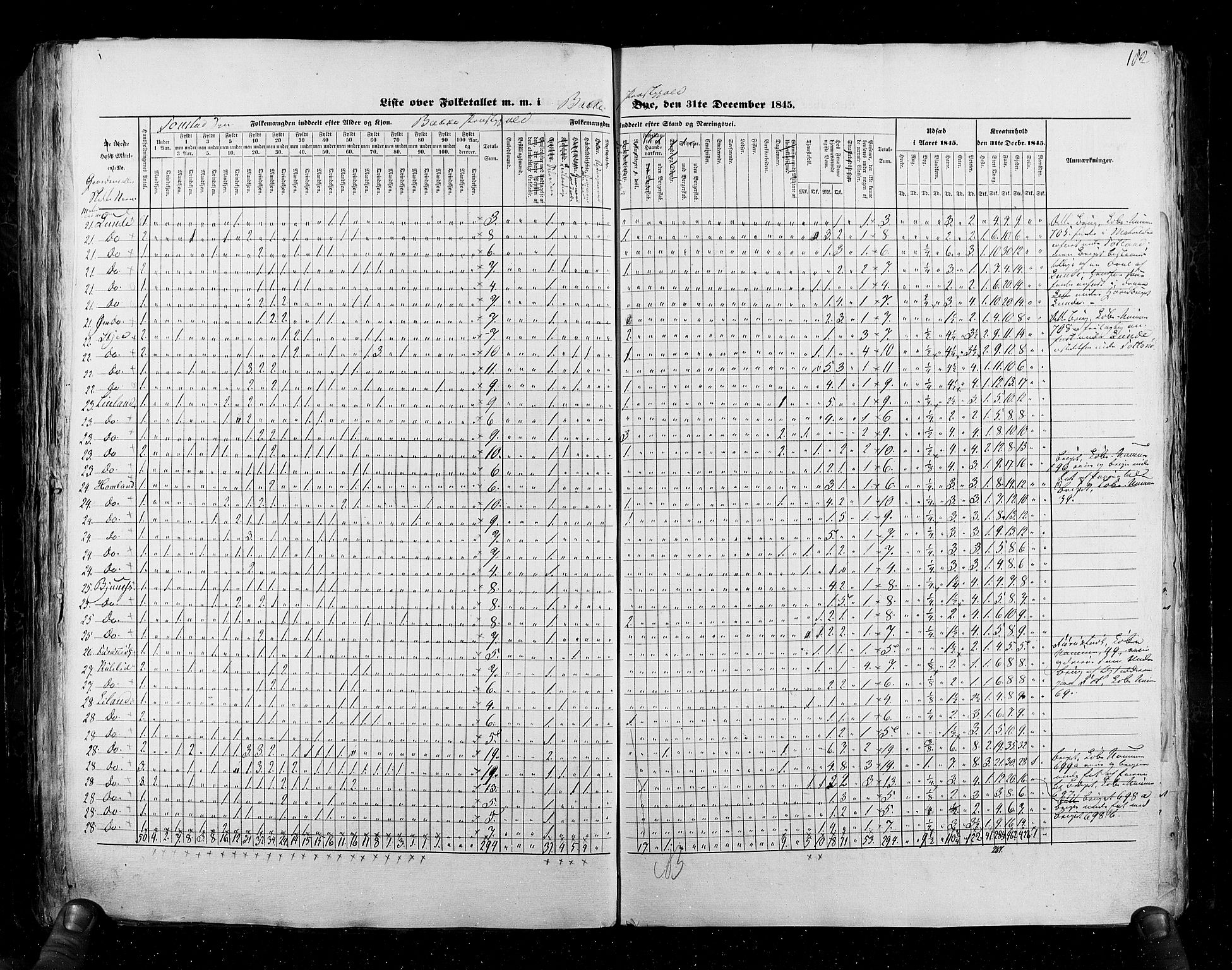 RA, Census 1845, vol. 6: Lister og Mandal amt og Stavanger amt, 1845, p. 182