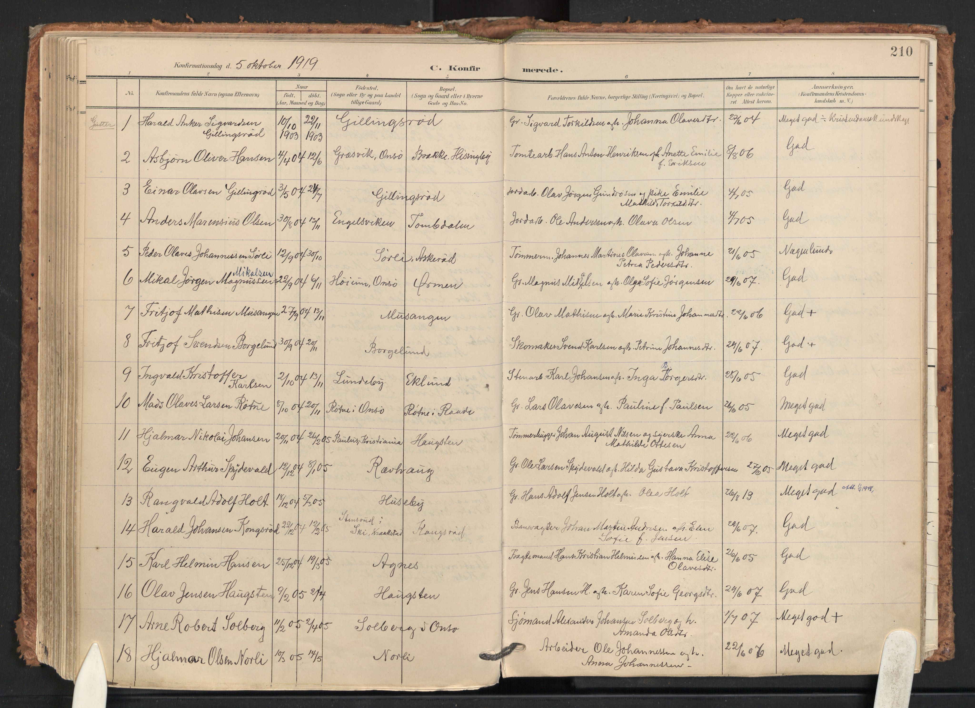 Råde prestekontor kirkebøker, SAO/A-2009/F/Fa/L0008: Parish register (official) no. 8, 1903-1924, p. 210