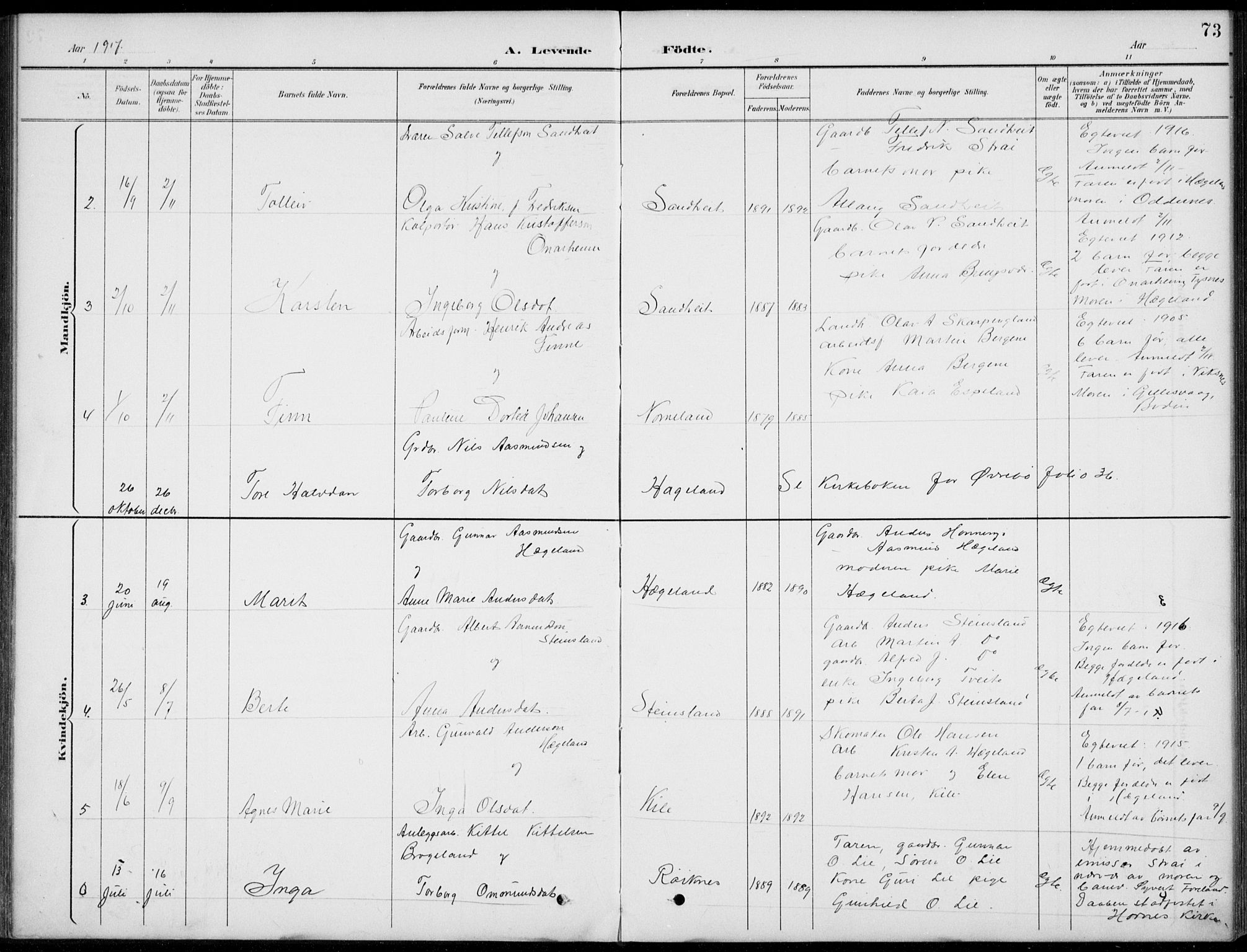 Vennesla sokneprestkontor, AV/SAK-1111-0045/Fb/Fba/L0003: Parish register (copy) no. B 3, 1890-1919, p. 73