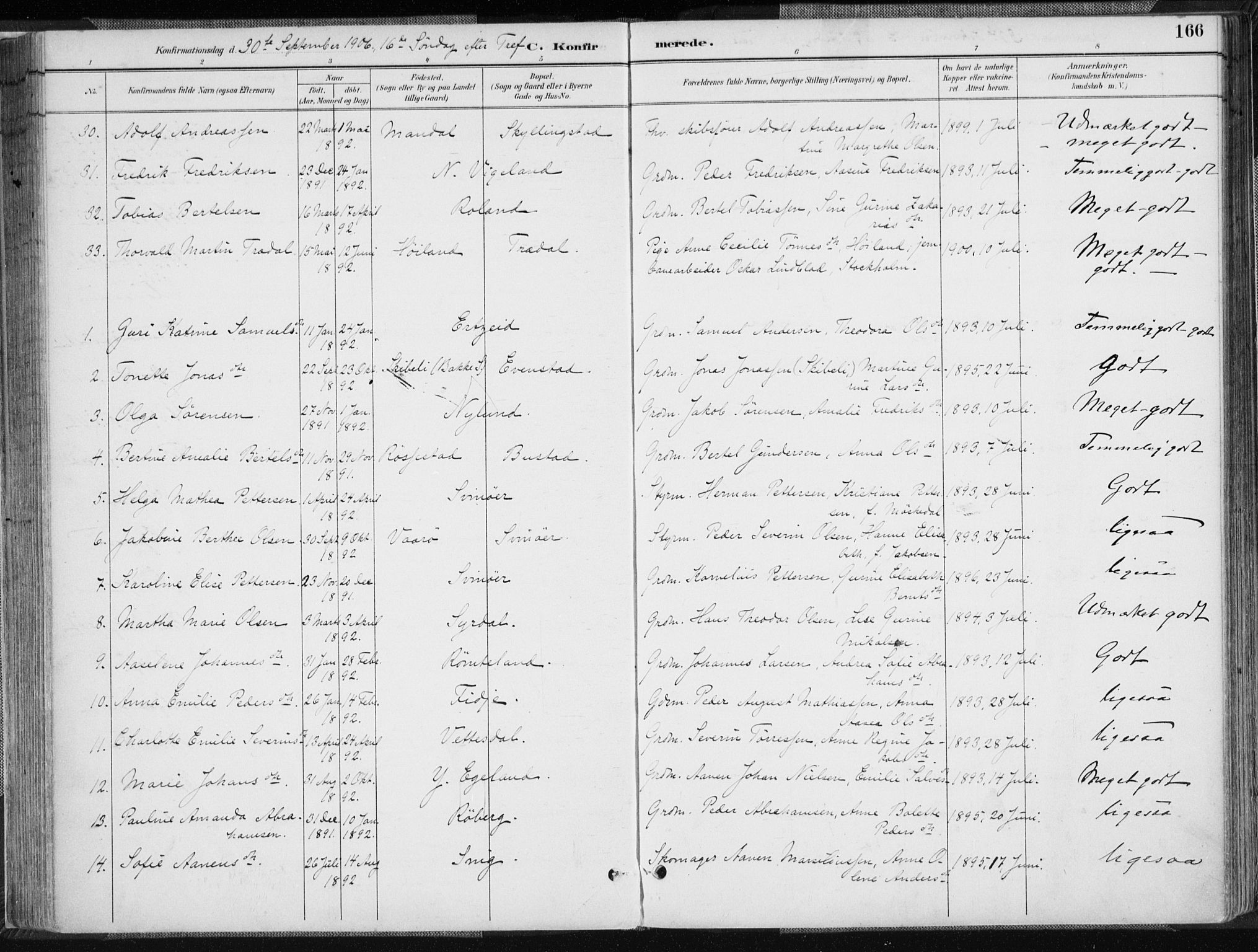 Sør-Audnedal sokneprestkontor, AV/SAK-1111-0039/F/Fa/Fab/L0010: Parish register (official) no. A 10, 1892-1913, p. 166