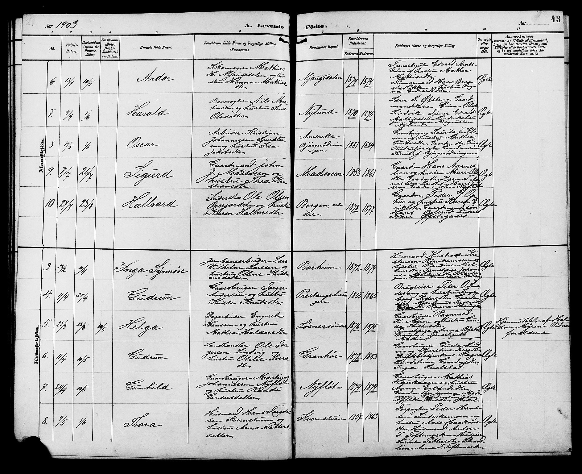 Ringebu prestekontor, SAH/PREST-082/H/Ha/Hab/L0007: Parish register (copy) no. 7, 1890-1910, p. 43