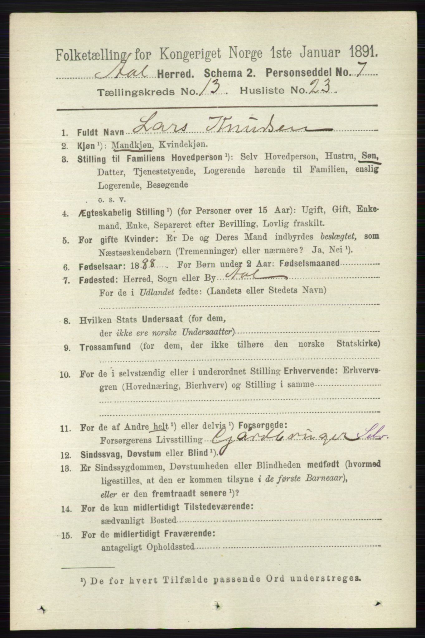 RA, 1891 census for 0619 Ål, 1891, p. 3387