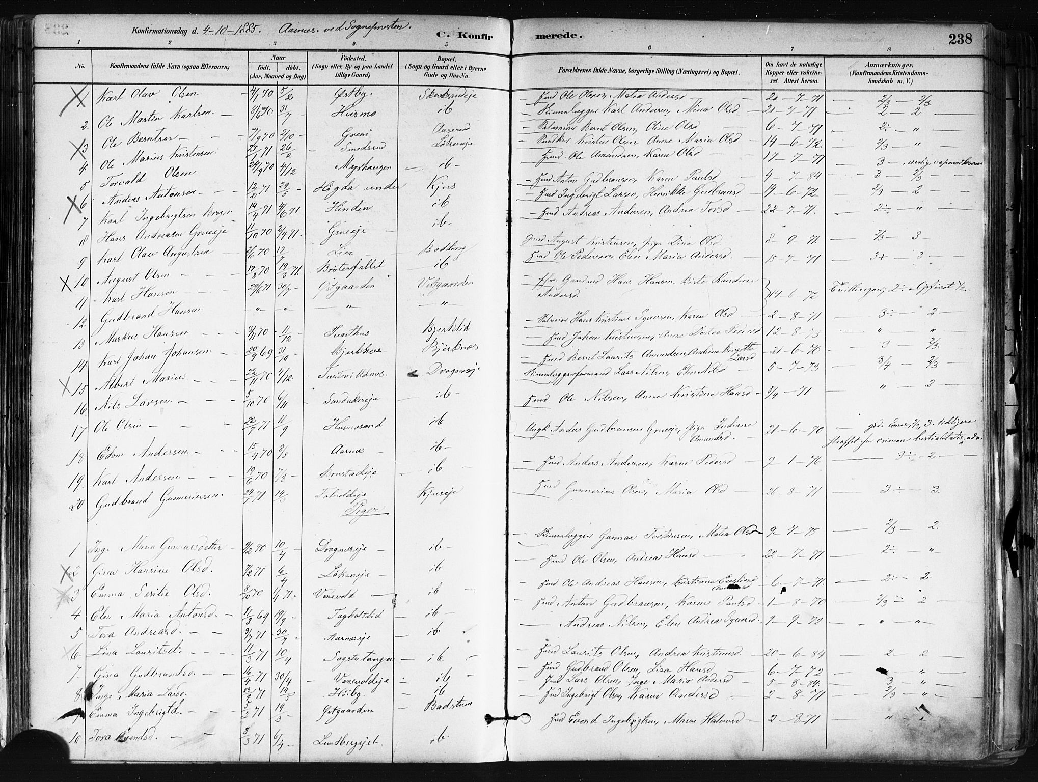 Nes prestekontor Kirkebøker, AV/SAO-A-10410/F/Fa/L0010: Parish register (official) no. I 10, 1883-1898, p. 238