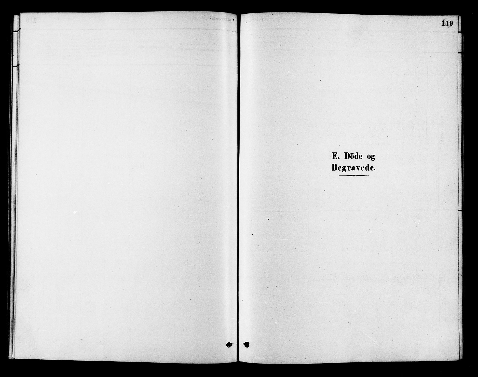 Flesberg kirkebøker, SAKO/A-18/F/Fb/L0001: Parish register (official) no. II 1, 1879-1907, p. 119