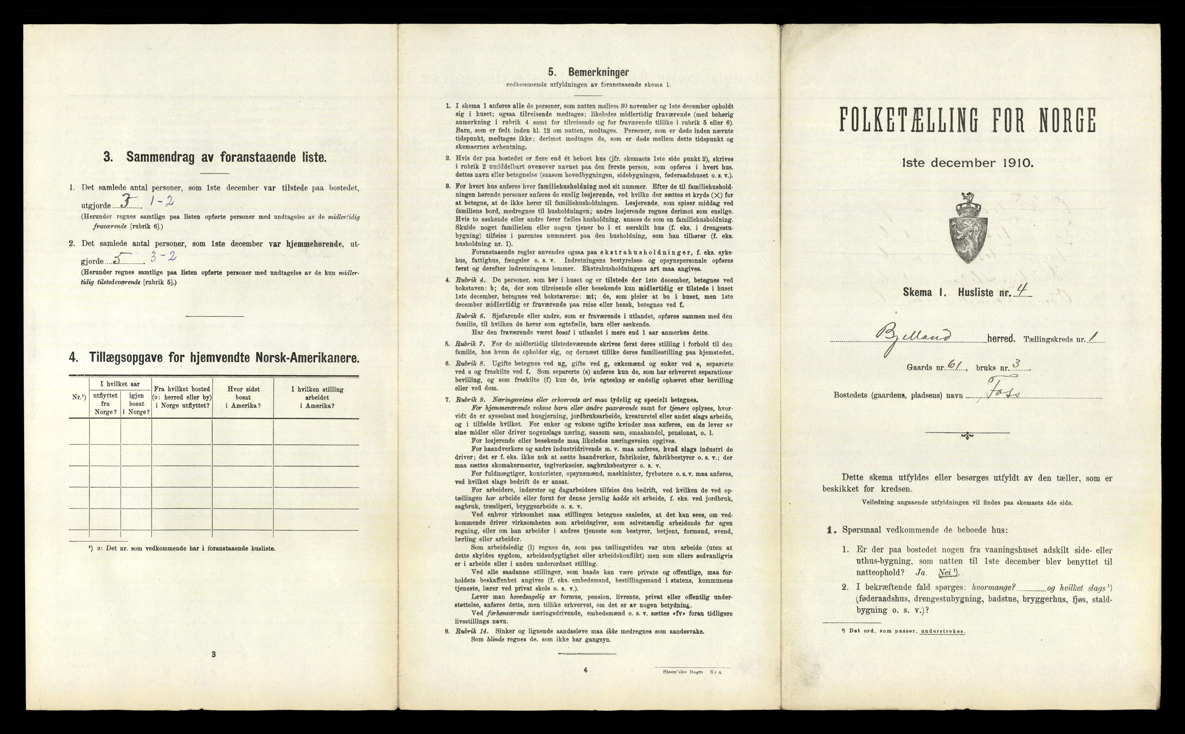 RA, 1910 census for Bjelland, 1910, p. 36