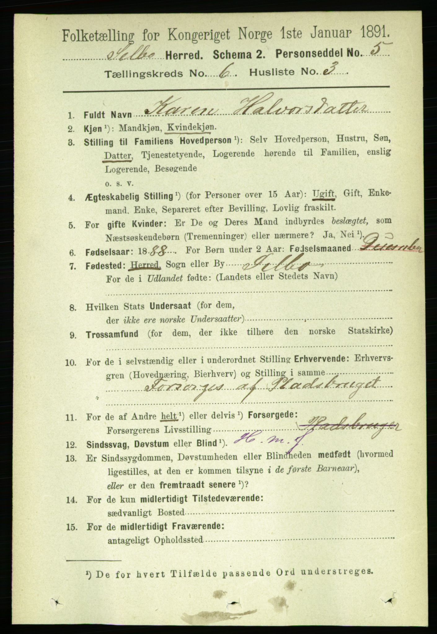 RA, 1891 census for 1664 Selbu, 1891, p. 2144