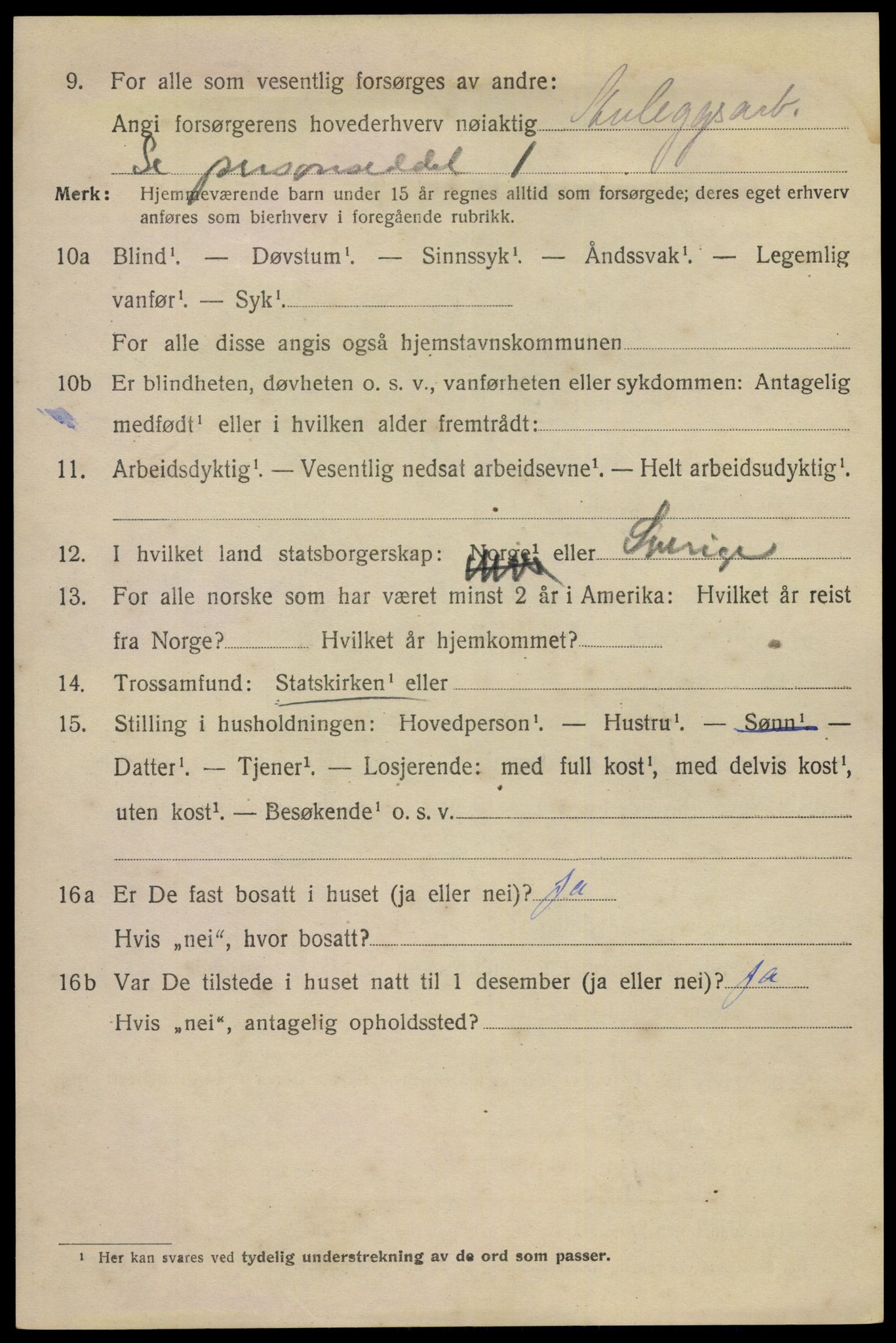 SAKO, 1920 census for Notodden, 1920, p. 11667