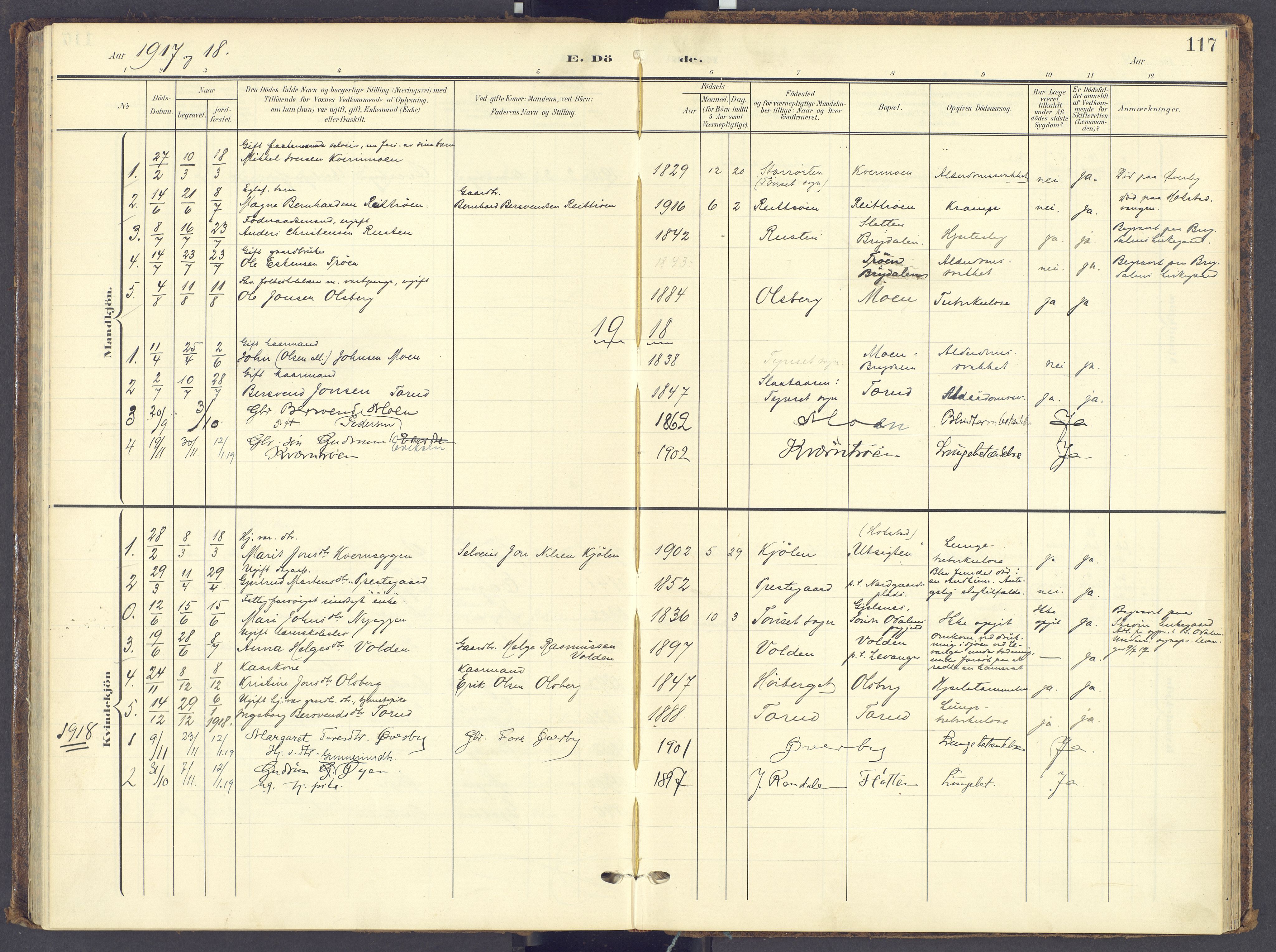 Tynset prestekontor, SAH/PREST-058/H/Ha/Haa/L0028: Parish register (official) no. 28, 1902-1929, p. 117