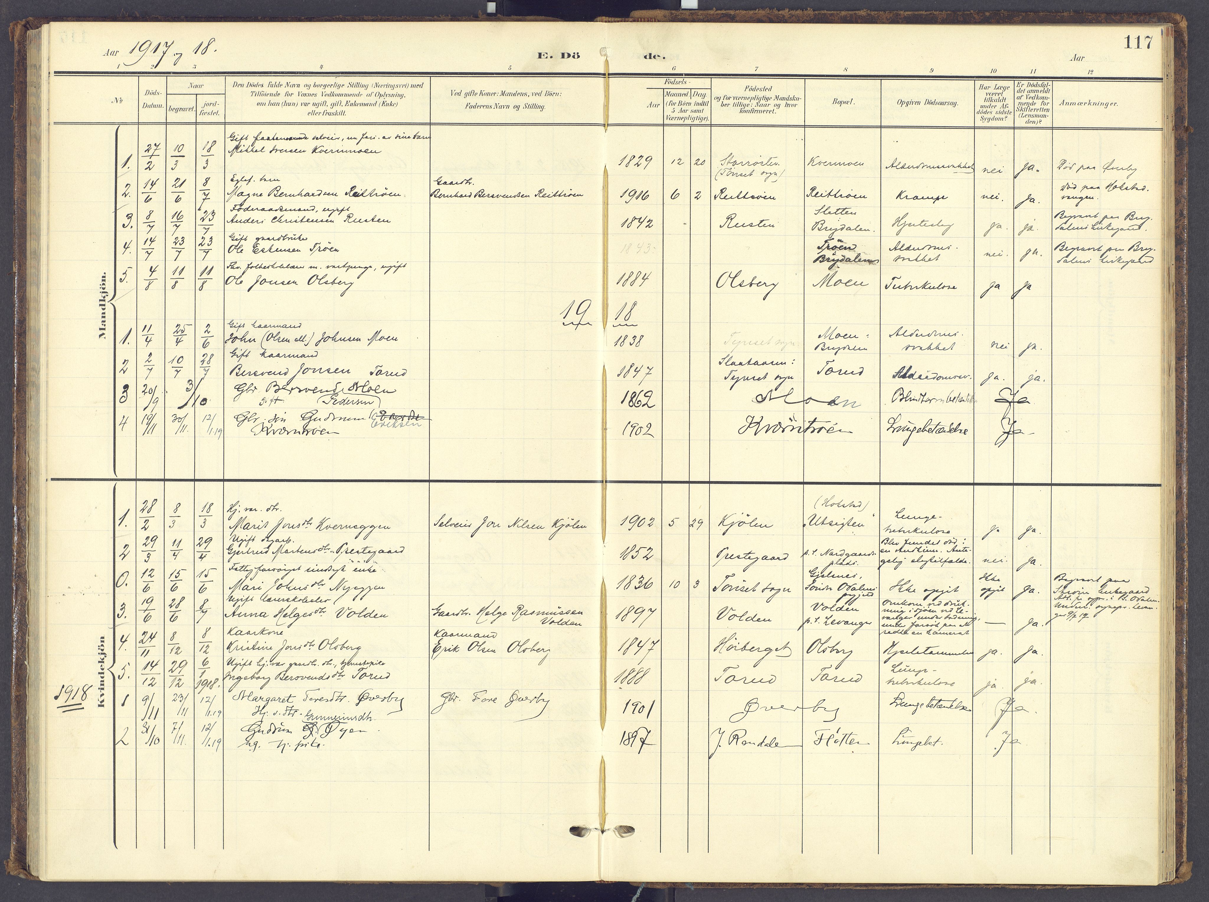 Tynset prestekontor, AV/SAH-PREST-058/H/Ha/Haa/L0028: Parish register (official) no. 28, 1902-1929, p. 117