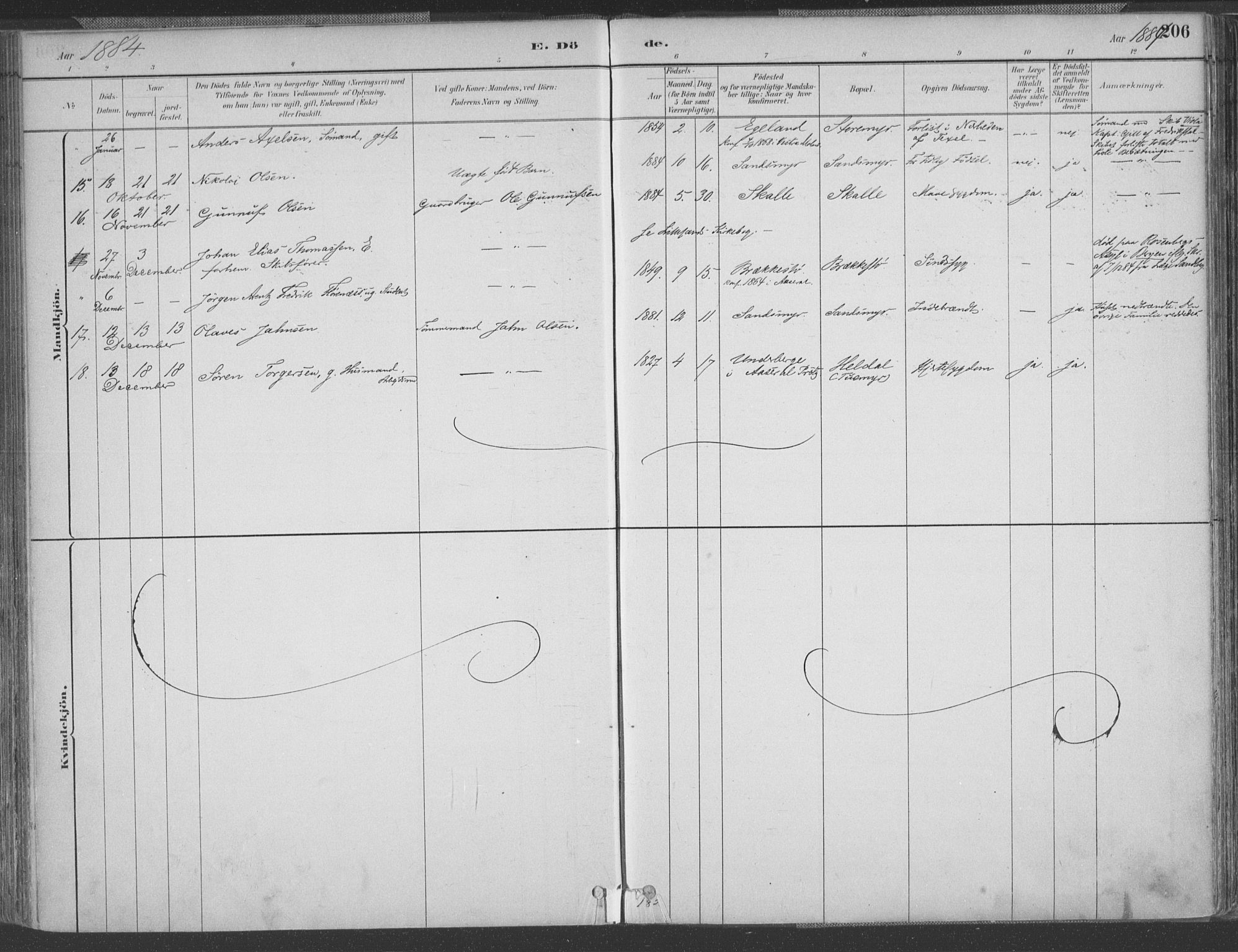 Vestre Moland sokneprestkontor, SAK/1111-0046/F/Fa/Fab/L0009: Parish register (official) no. A 9, 1884-1899, p. 206