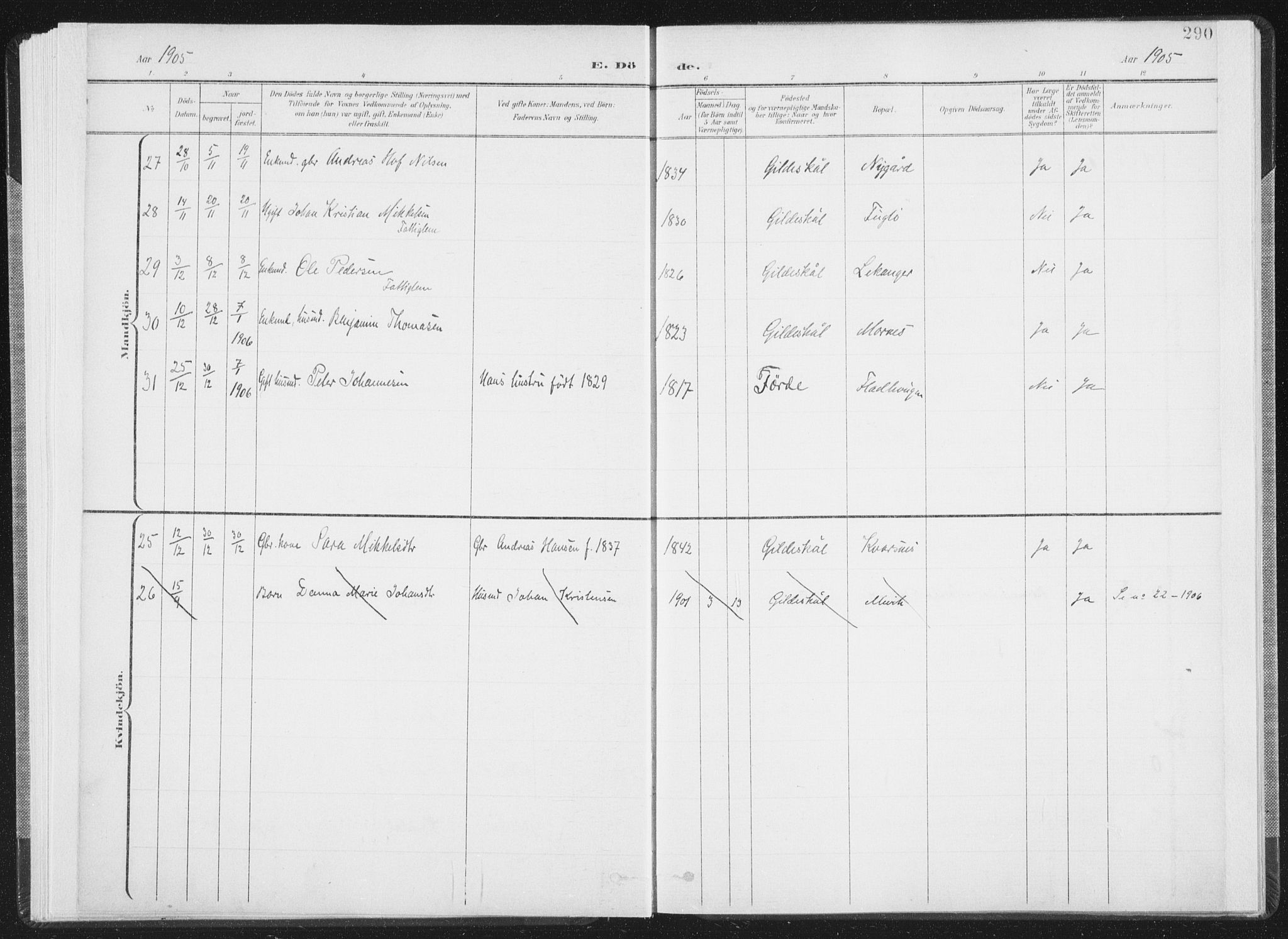 Ministerialprotokoller, klokkerbøker og fødselsregistre - Nordland, AV/SAT-A-1459/805/L0103: Parish register (official) no. 805A08II, 1900-1909, p. 290