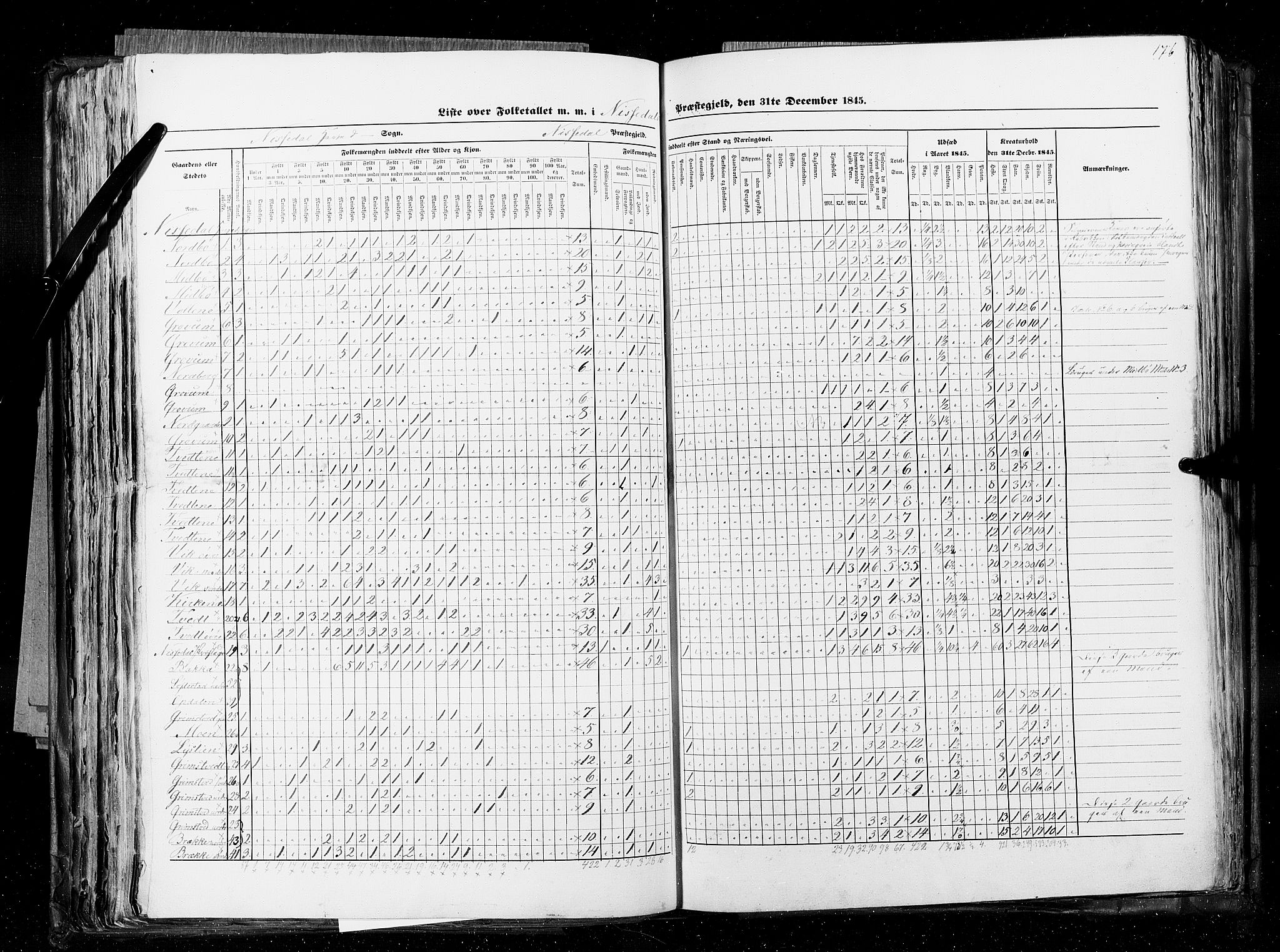 RA, Census 1845, vol. 5: Bratsberg amt og Nedenes og Råbyggelaget amt, 1845, p. 176