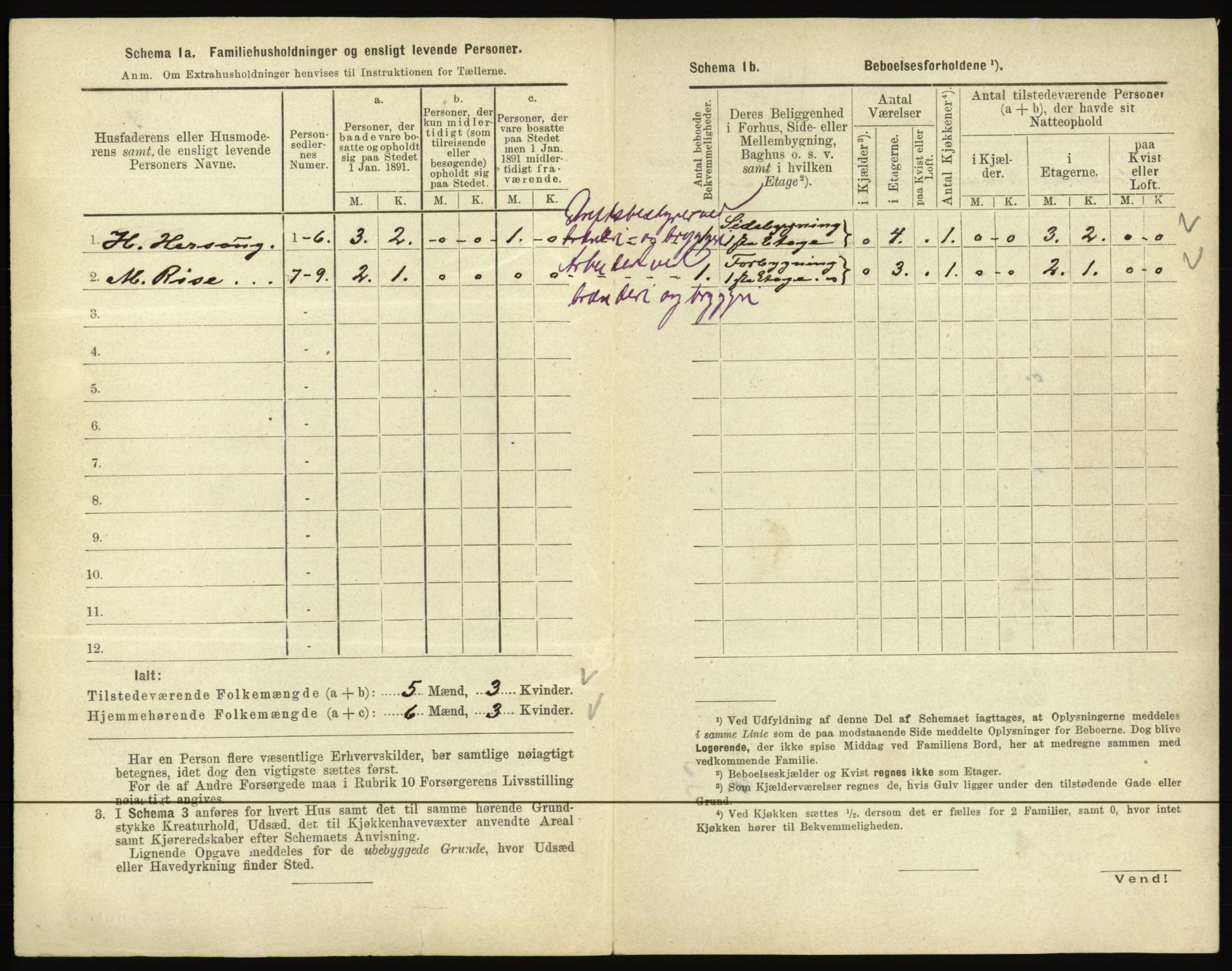 RA, 1891 census for 0501 Lillehammer, 1891, p. 216