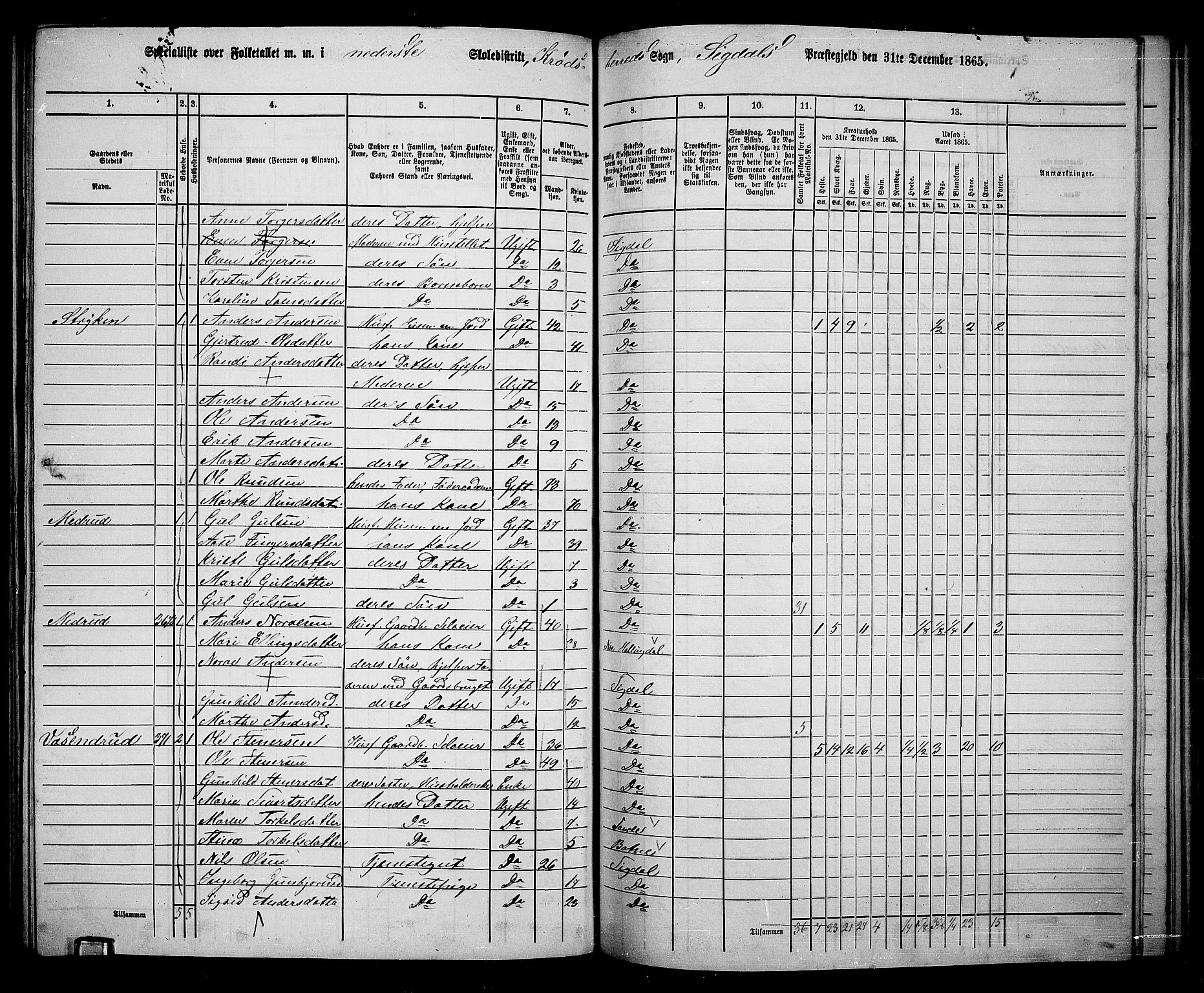 RA, 1865 census for Sigdal, 1865, p. 195