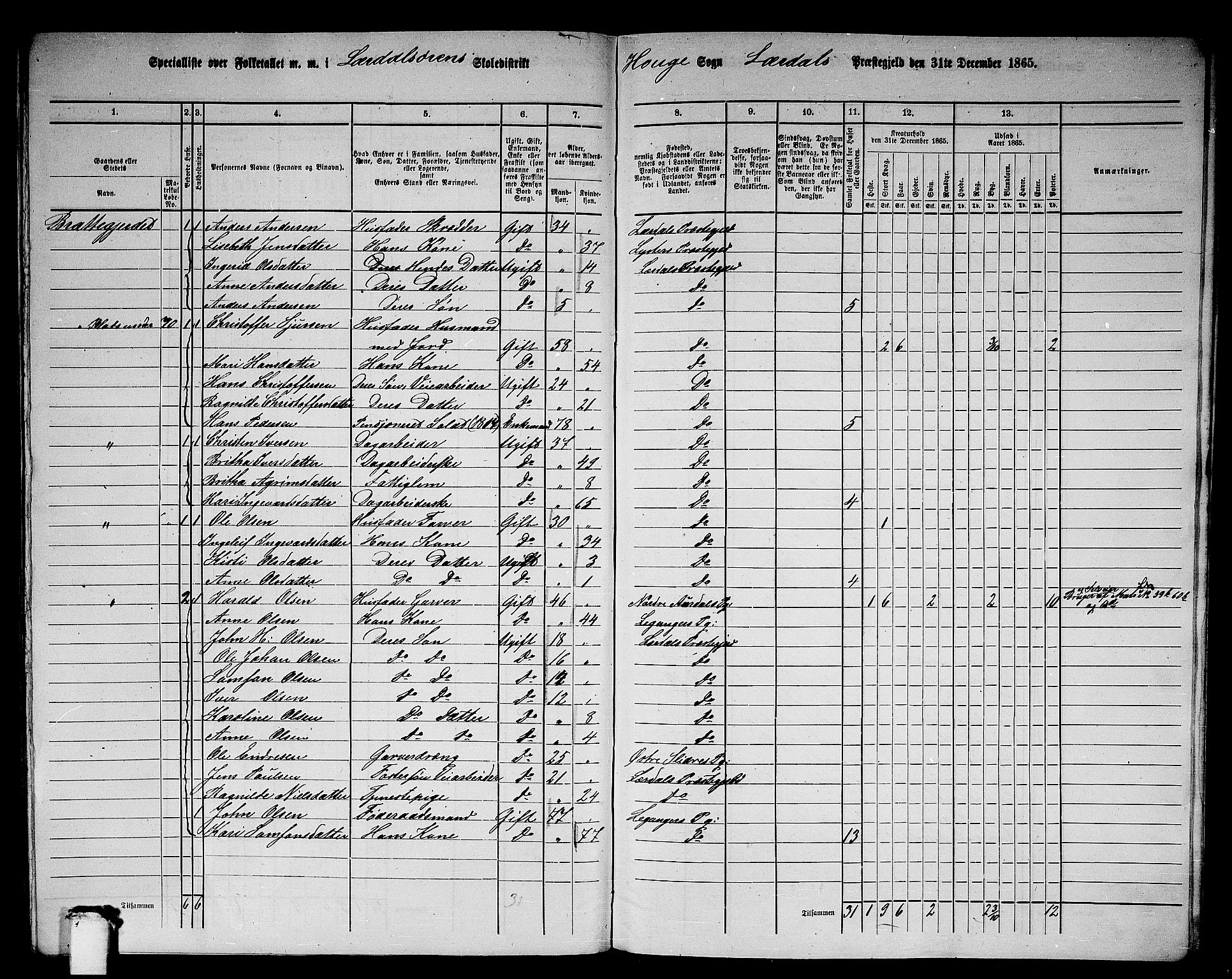 RA, 1865 census for Lærdal, 1865, p. 161