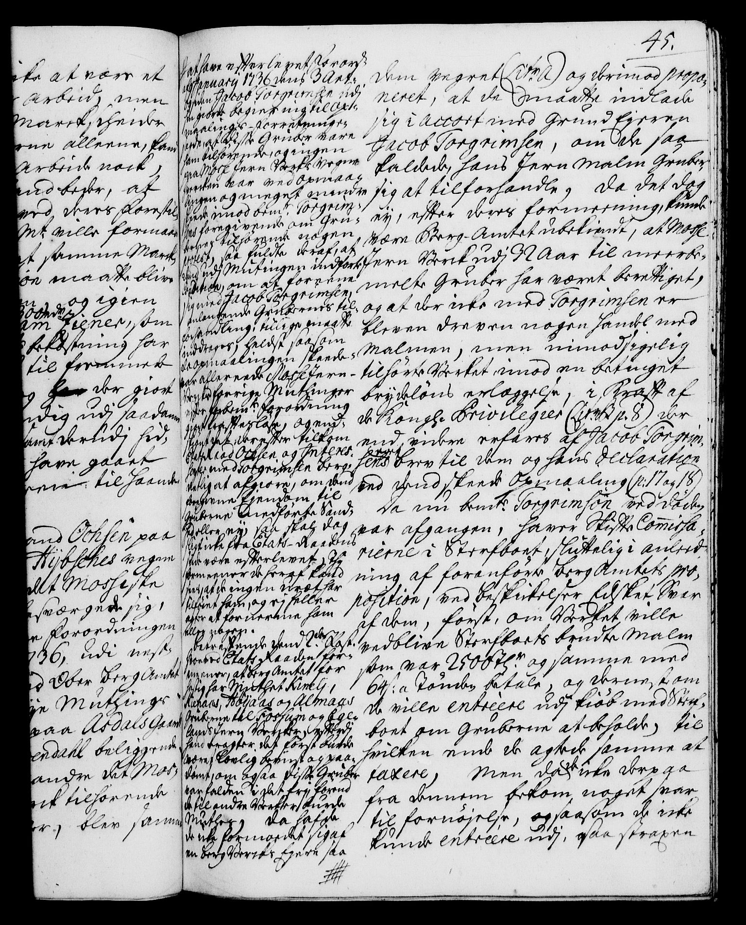 Rentekammeret, Kammerkanselliet, RA/EA-3111/G/Gh/Gha/L0020: Norsk ekstraktmemorialprotokoll (merket RK 53.65), 1738-1739, p. 45