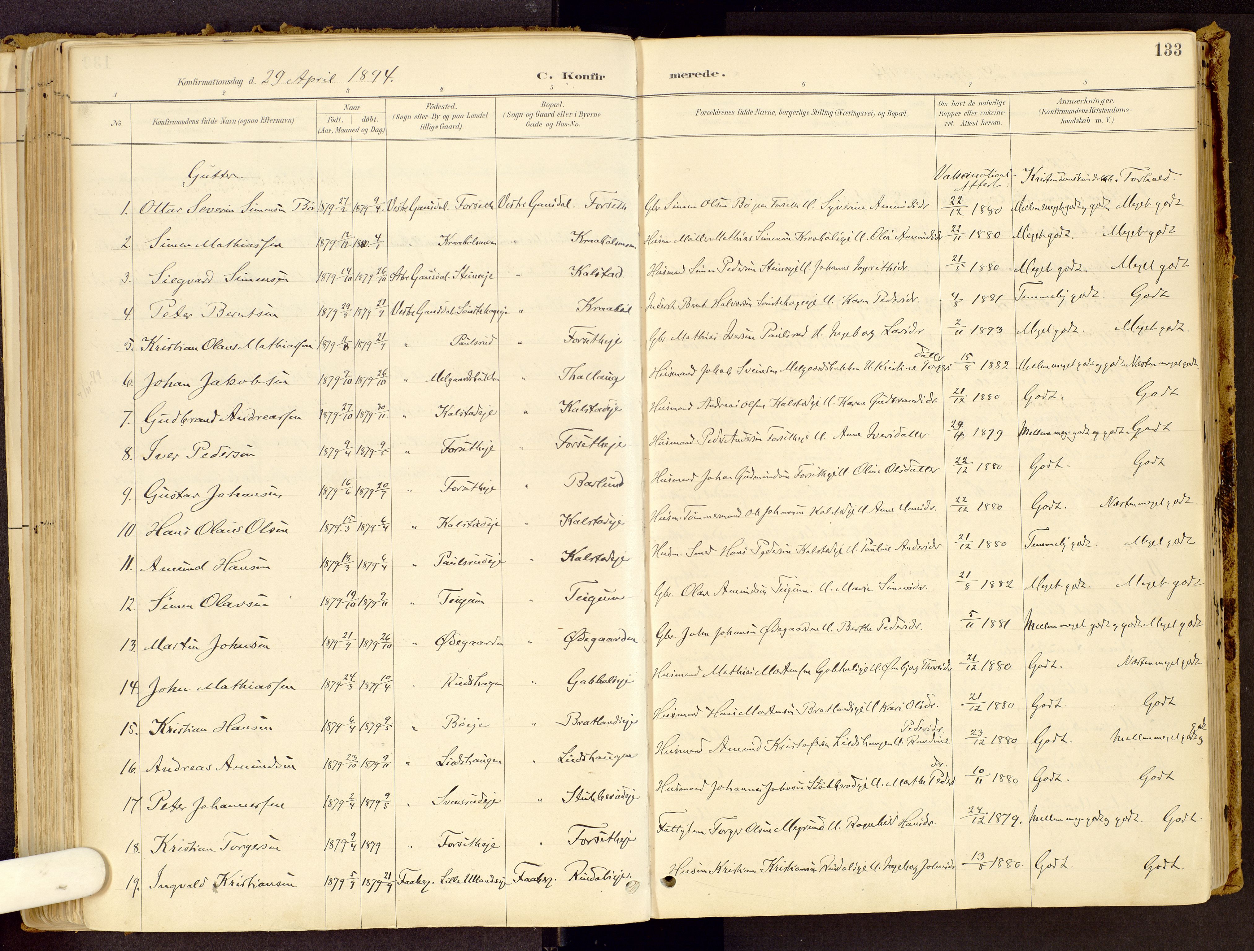 Vestre Gausdal prestekontor, SAH/PREST-094/H/Ha/Haa/L0001: Parish register (official) no. 1, 1887-1914, p. 133