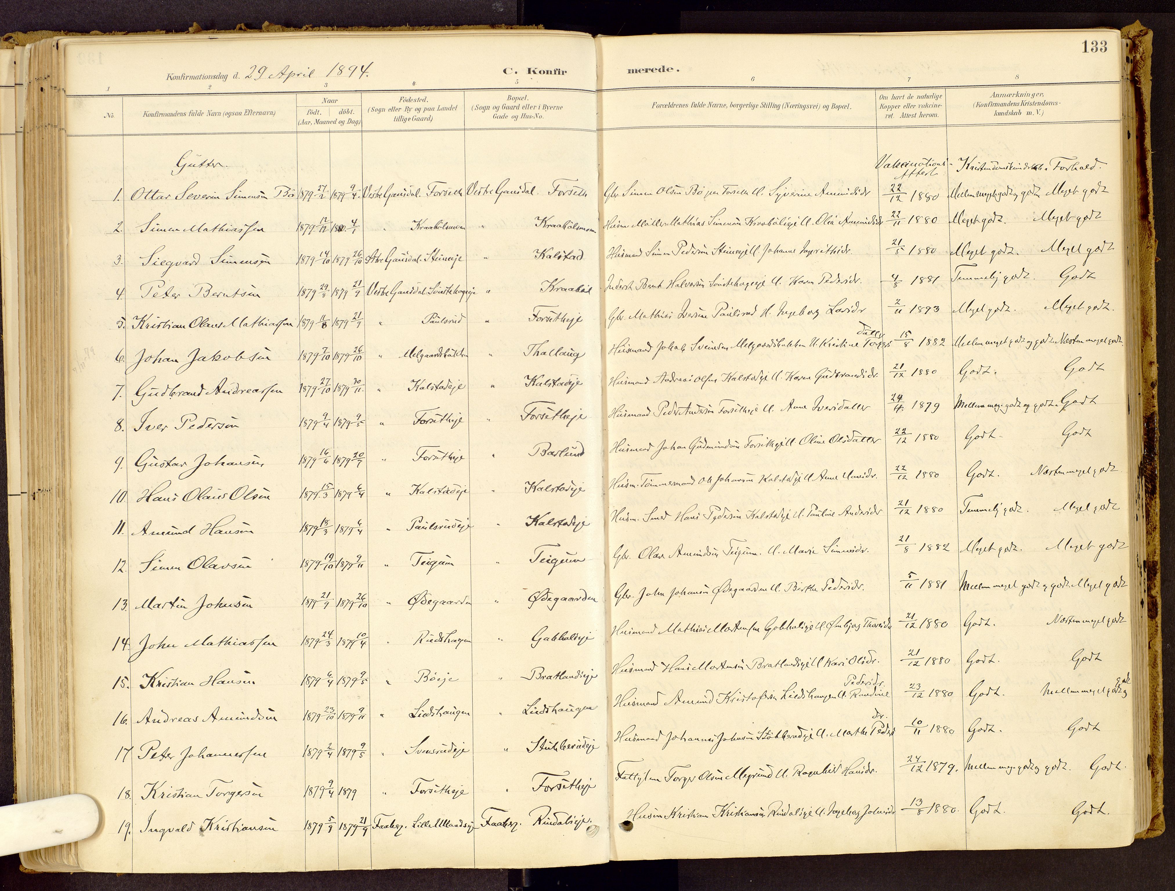 Vestre Gausdal prestekontor, AV/SAH-PREST-094/H/Ha/Haa/L0001: Parish register (official) no. 1, 1887-1914, p. 133