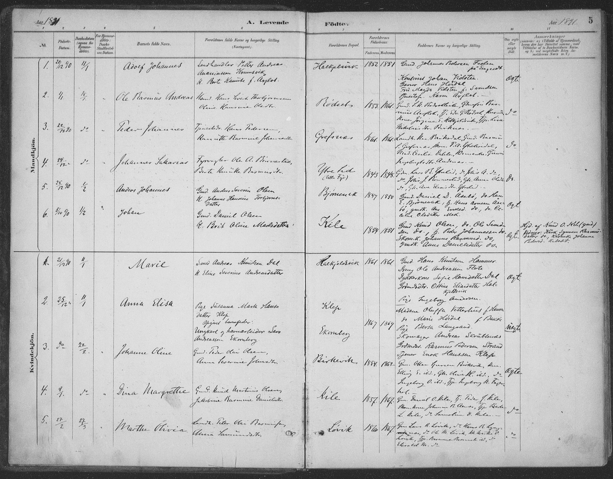 Ministerialprotokoller, klokkerbøker og fødselsregistre - Møre og Romsdal, AV/SAT-A-1454/511/L0142: Parish register (official) no. 511A09, 1891-1905, p. 5